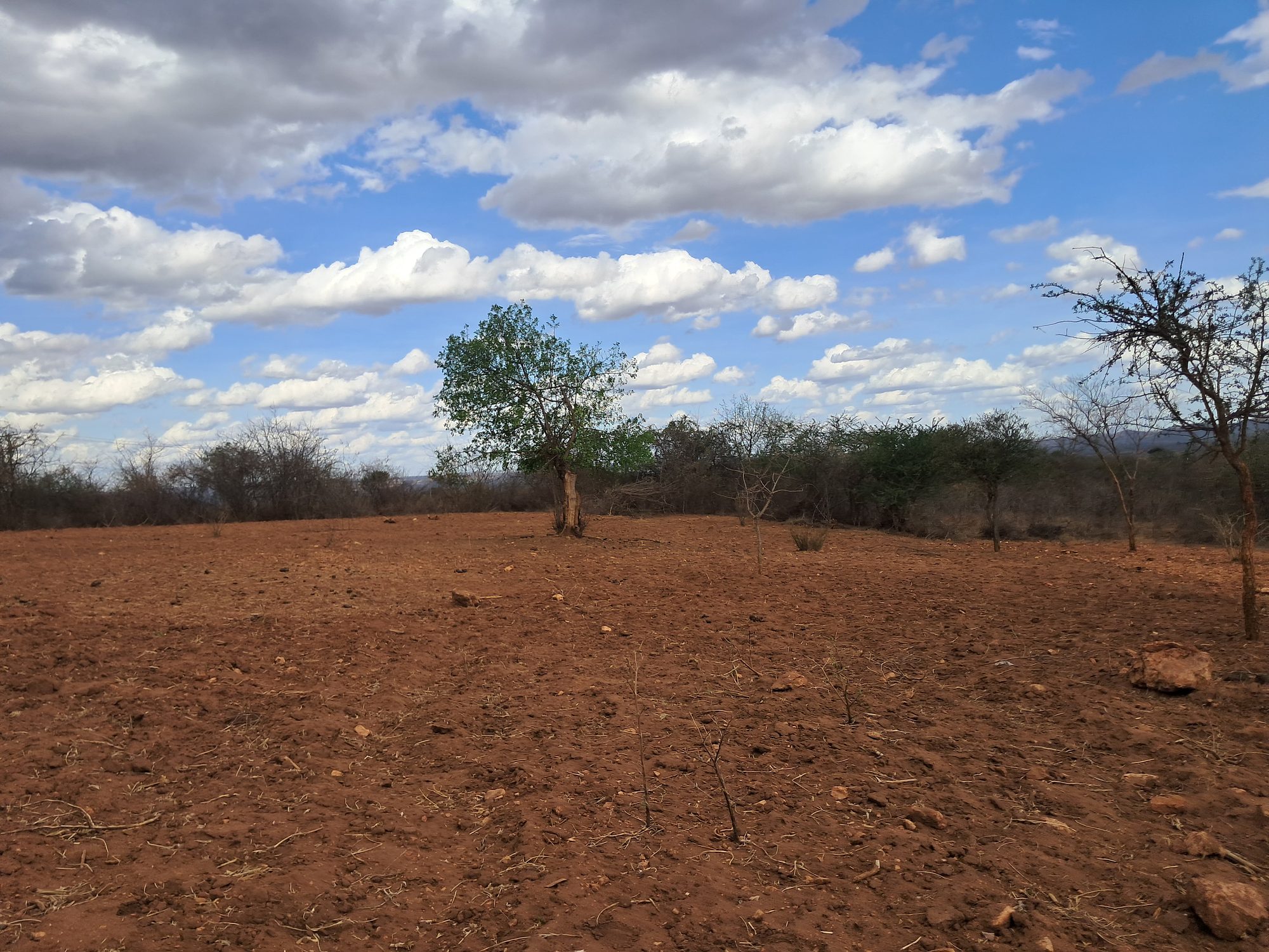 Embu county,Karura Agricultural/residential 8 Acres Farmland