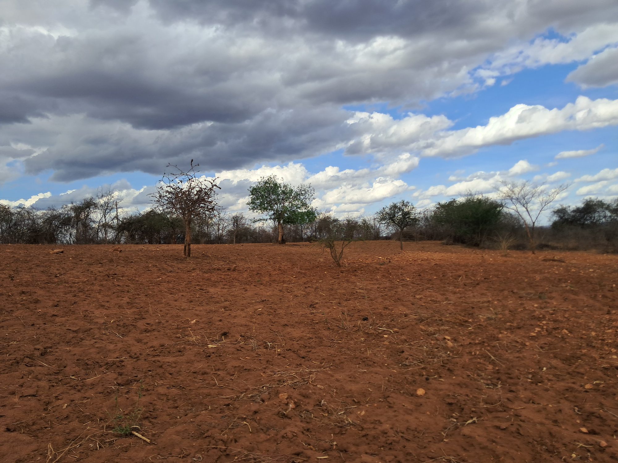 Embu county,Karura Agricultural/residential 8 Acres Farmland