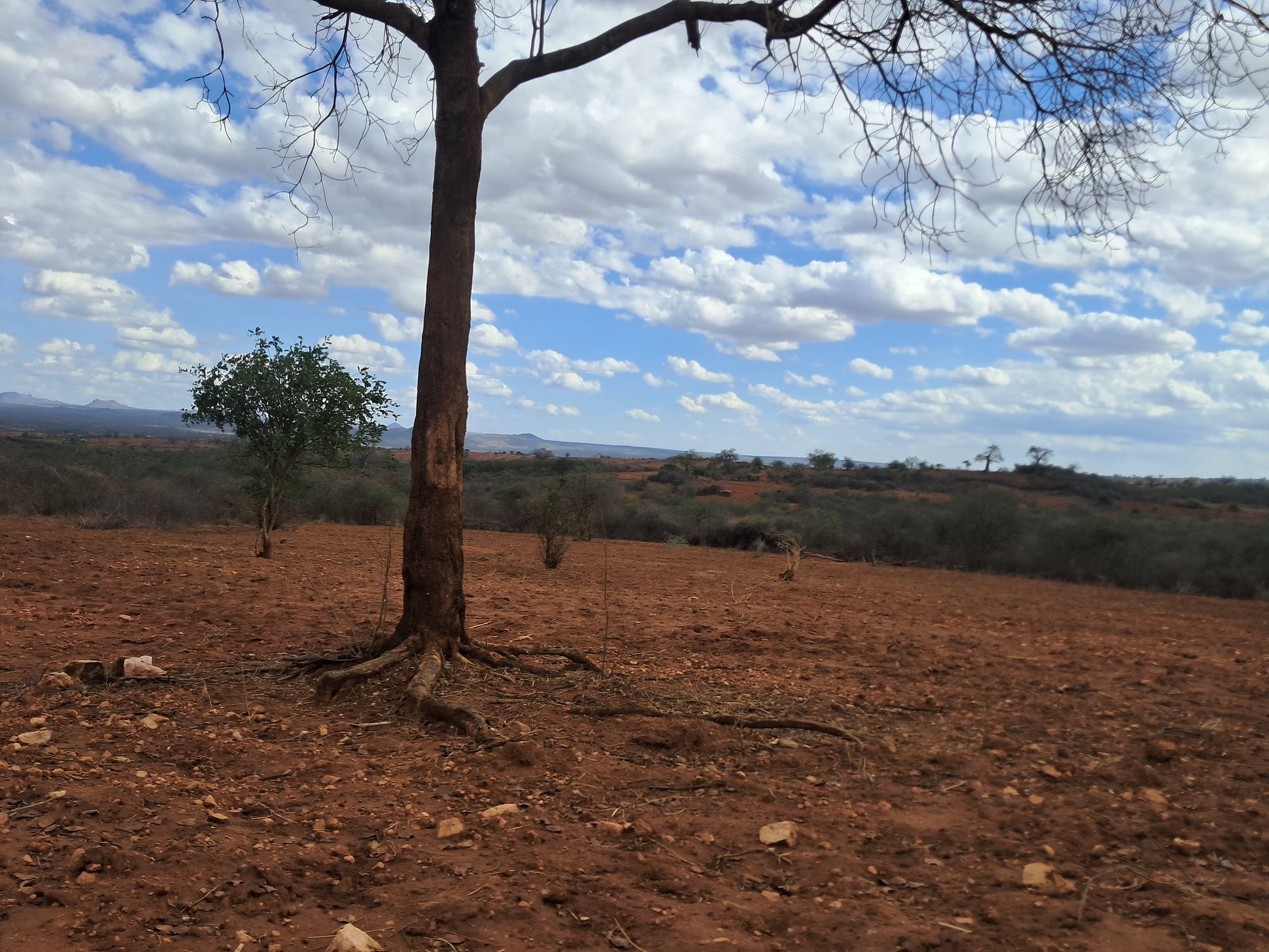 Embu county,Karura Agricultural/residential 8 Acres Farmland