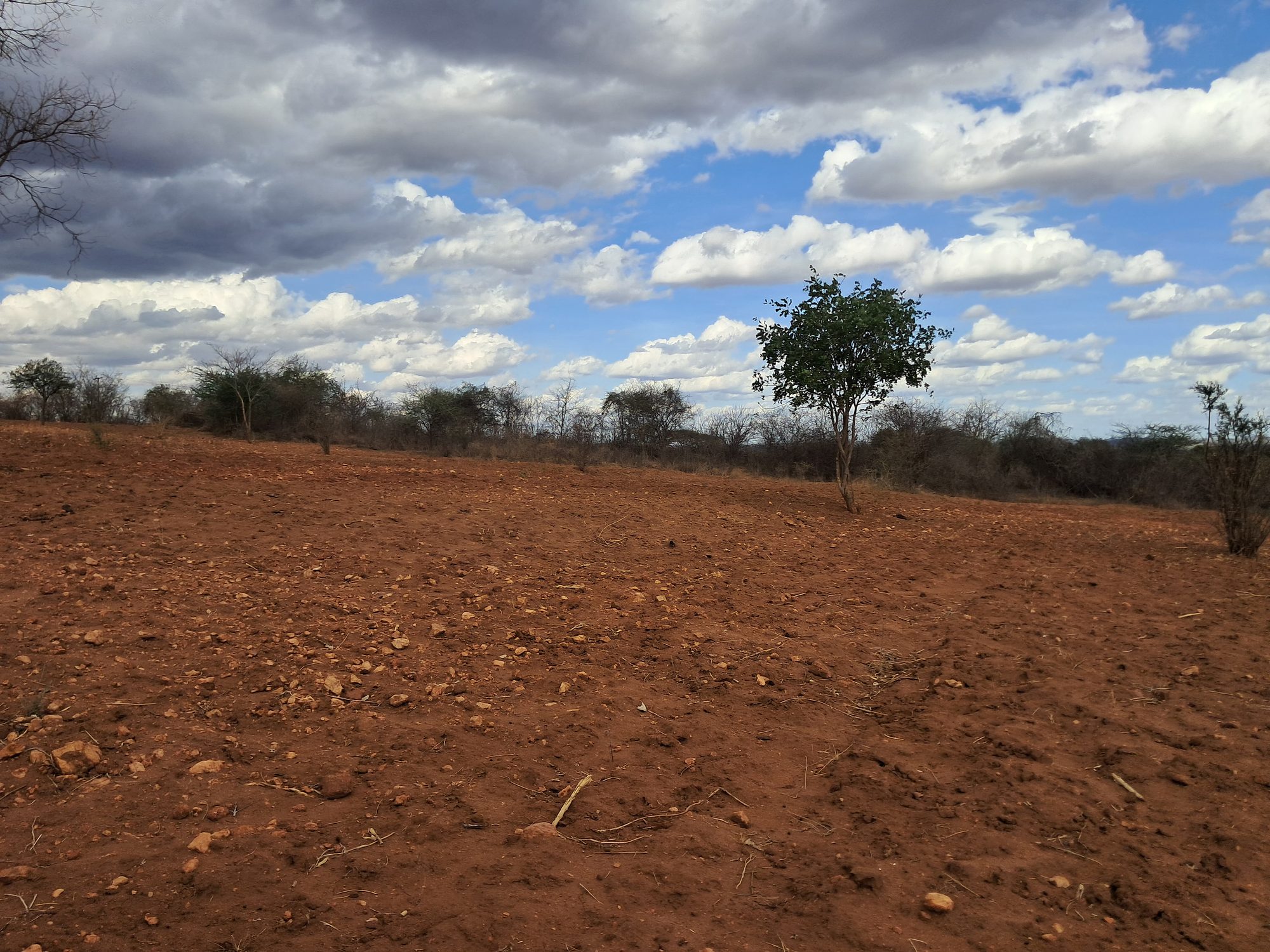 Embu county,Karura Agricultural/residential 8 Acres Farmland