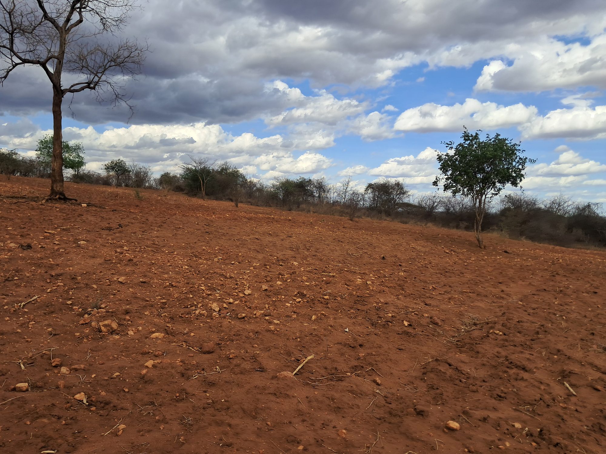 Embu county,Karura Agricultural/residential 8 Acres Farmland