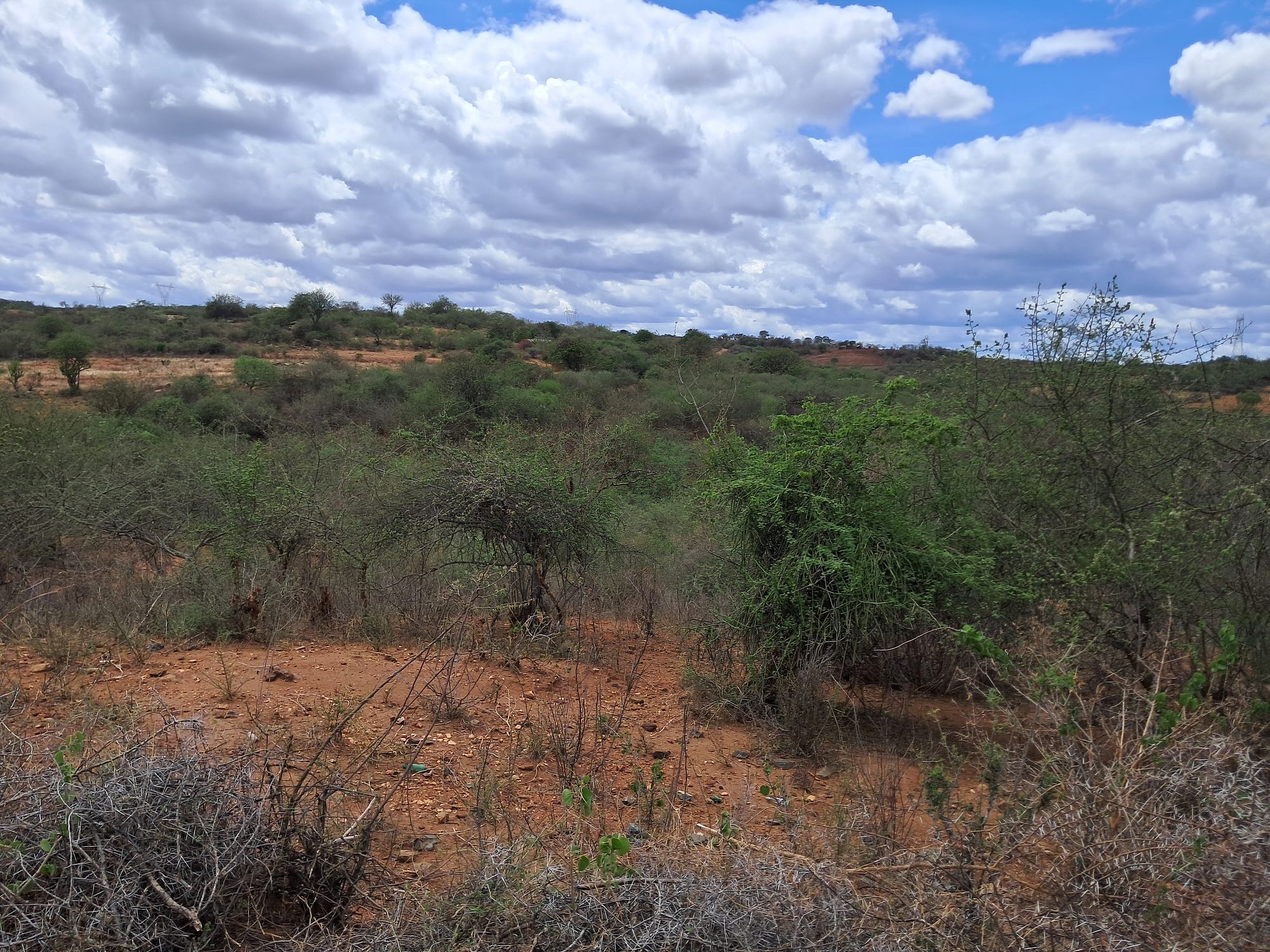 Embu county, Gitaru commercial 2 Acres along tarmac road