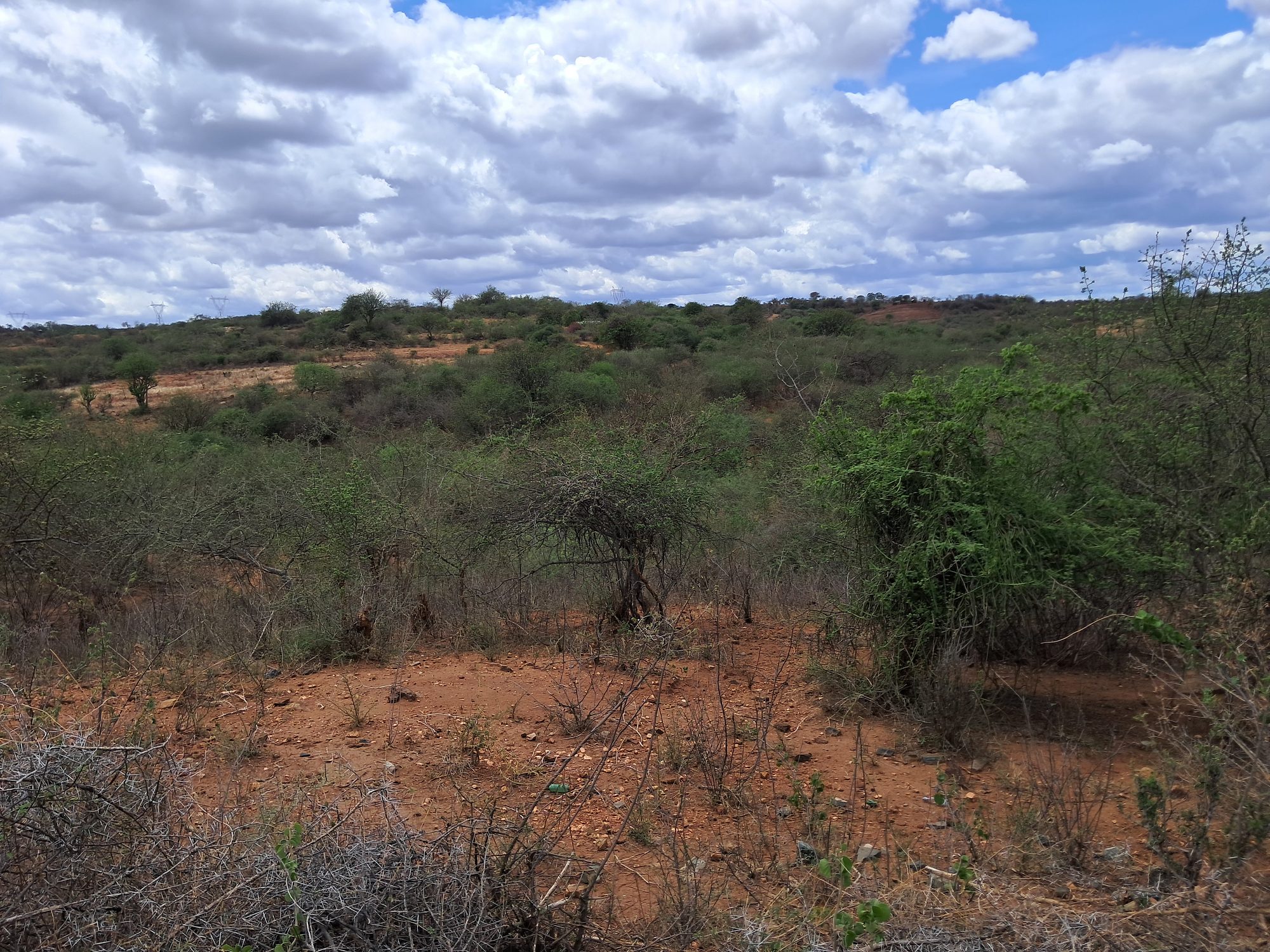 Embu county, Gitaru commercial 2 Acres along tarmac road