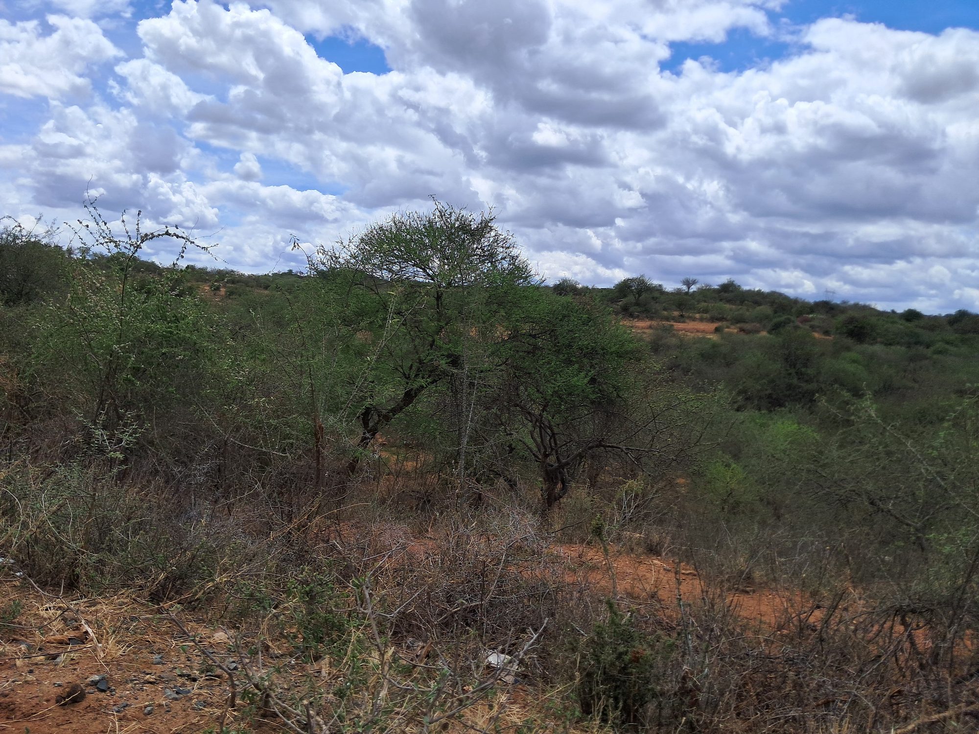 Embu county, Gitaru commercial 2 Acres along tarmac road