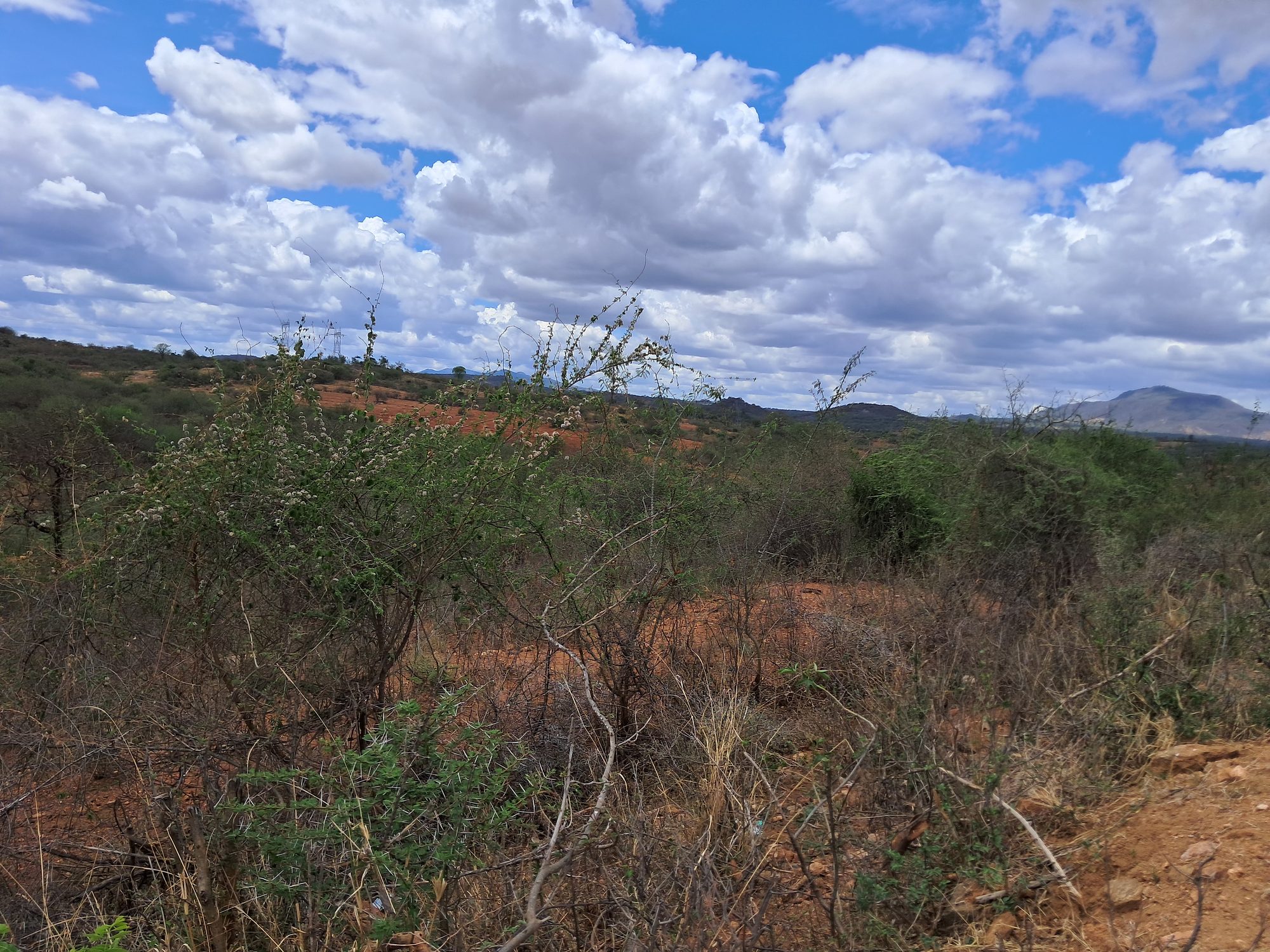 Embu county, Gitaru commercial 2 Acres along tarmac road