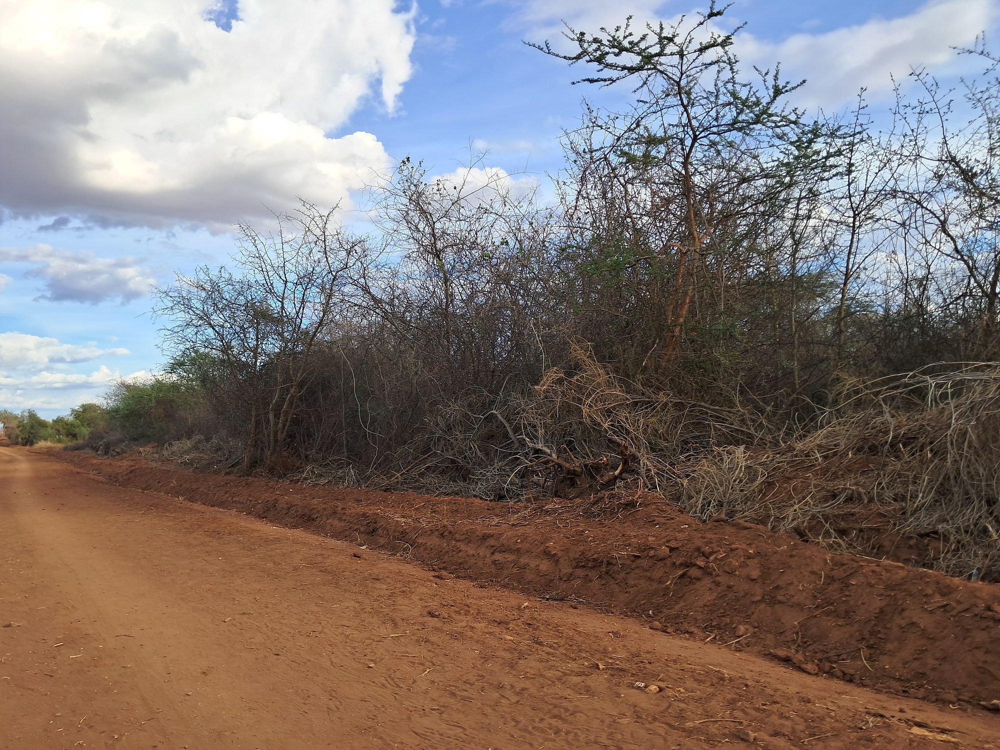 Embu county,Kiambere 9 Acres Agricultural farmland.