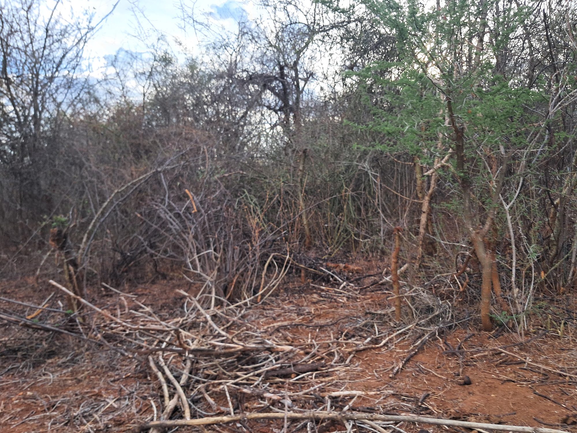 Embu county,Kiambere 9 Acres Agricultural farmland.