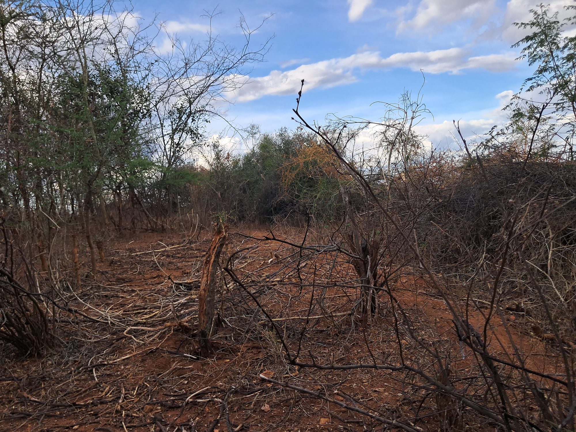 Embu county,Kiambere 9 Acres Agricultural farmland.