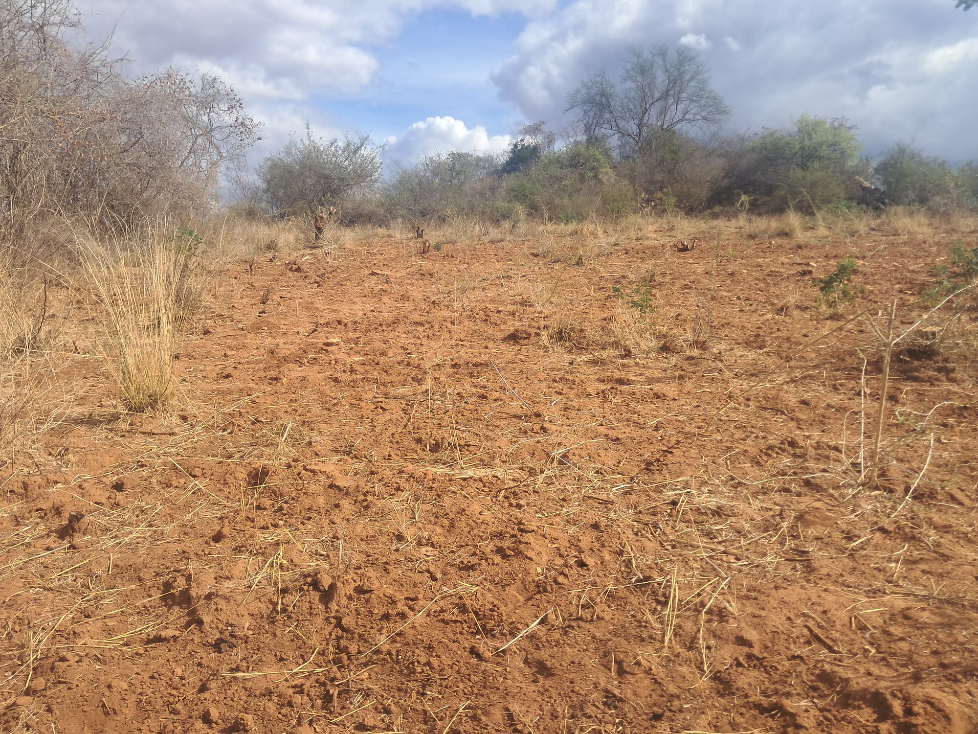 Embu county, Kiambeere ,Mbeere North Agricultural Farmland 