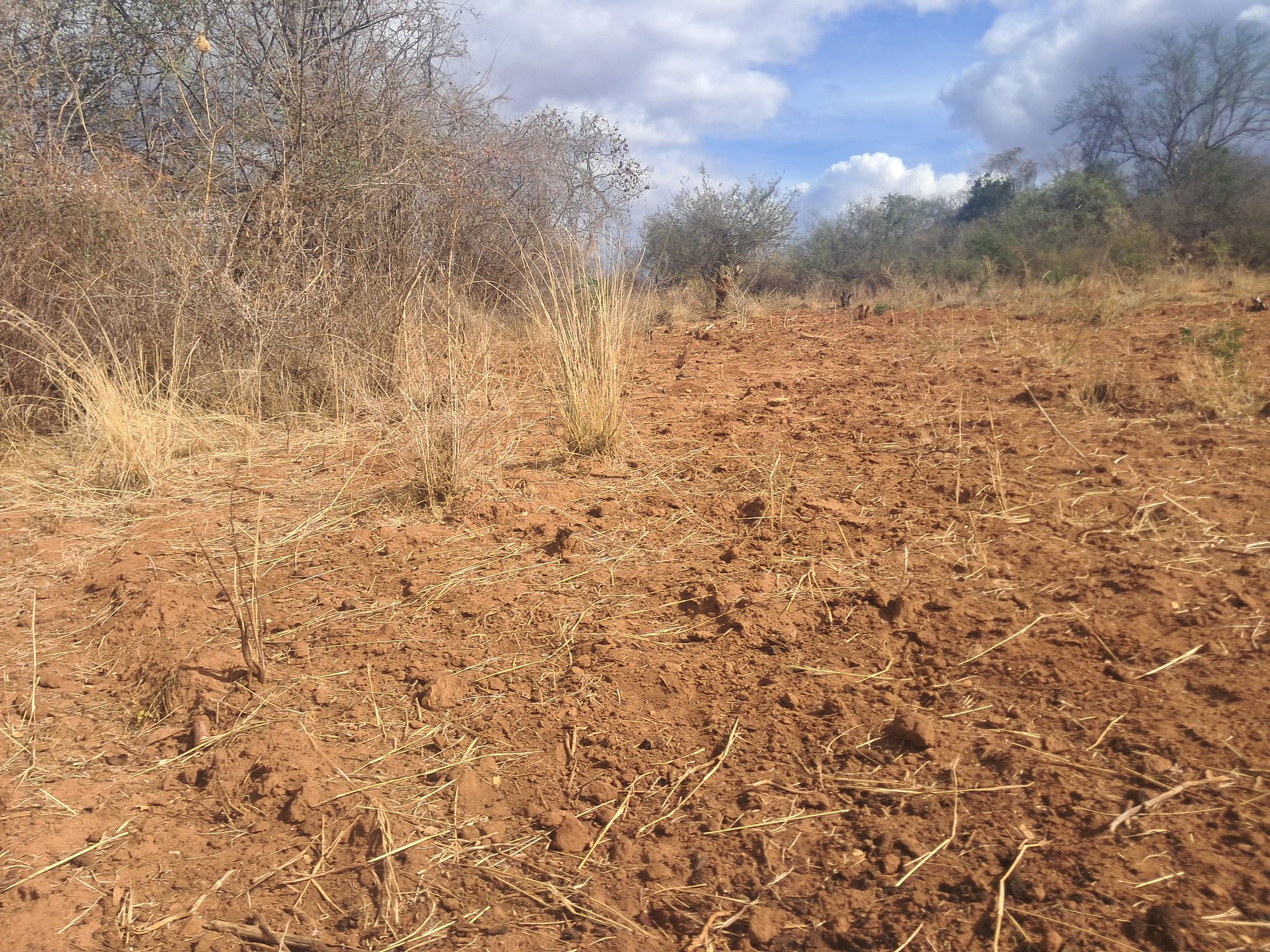 Embu county, Kiambeere ,Mbeere North Agricultural Farmland 