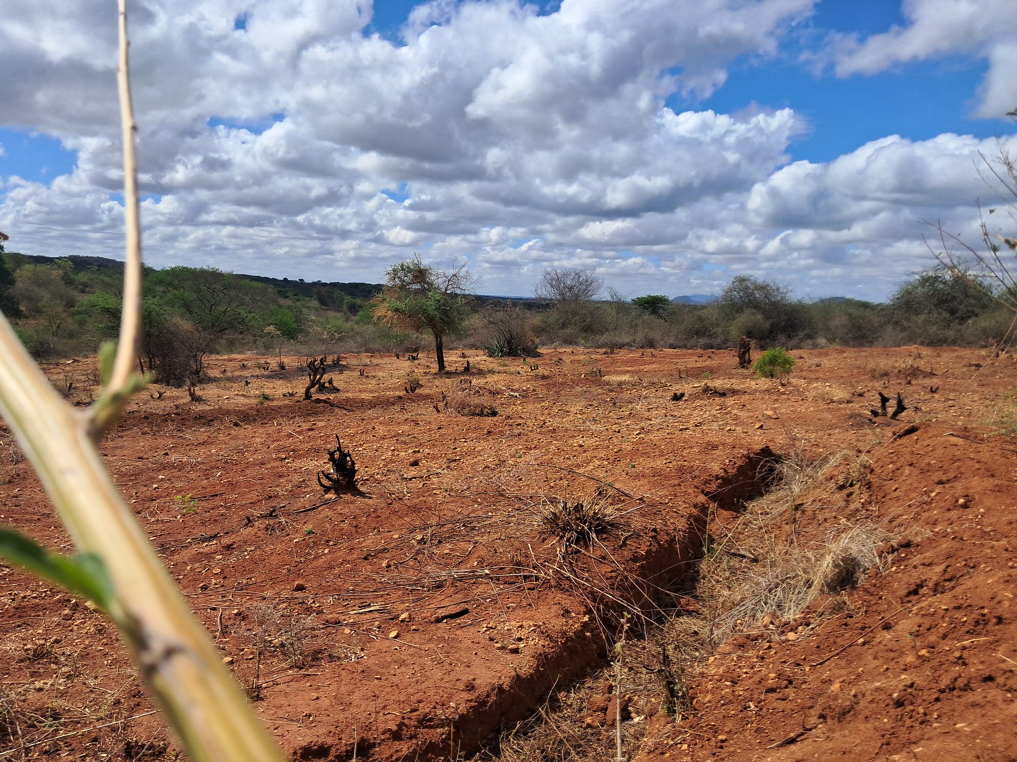 Irrigation Agricultural Land for Sale in Embu Mariari