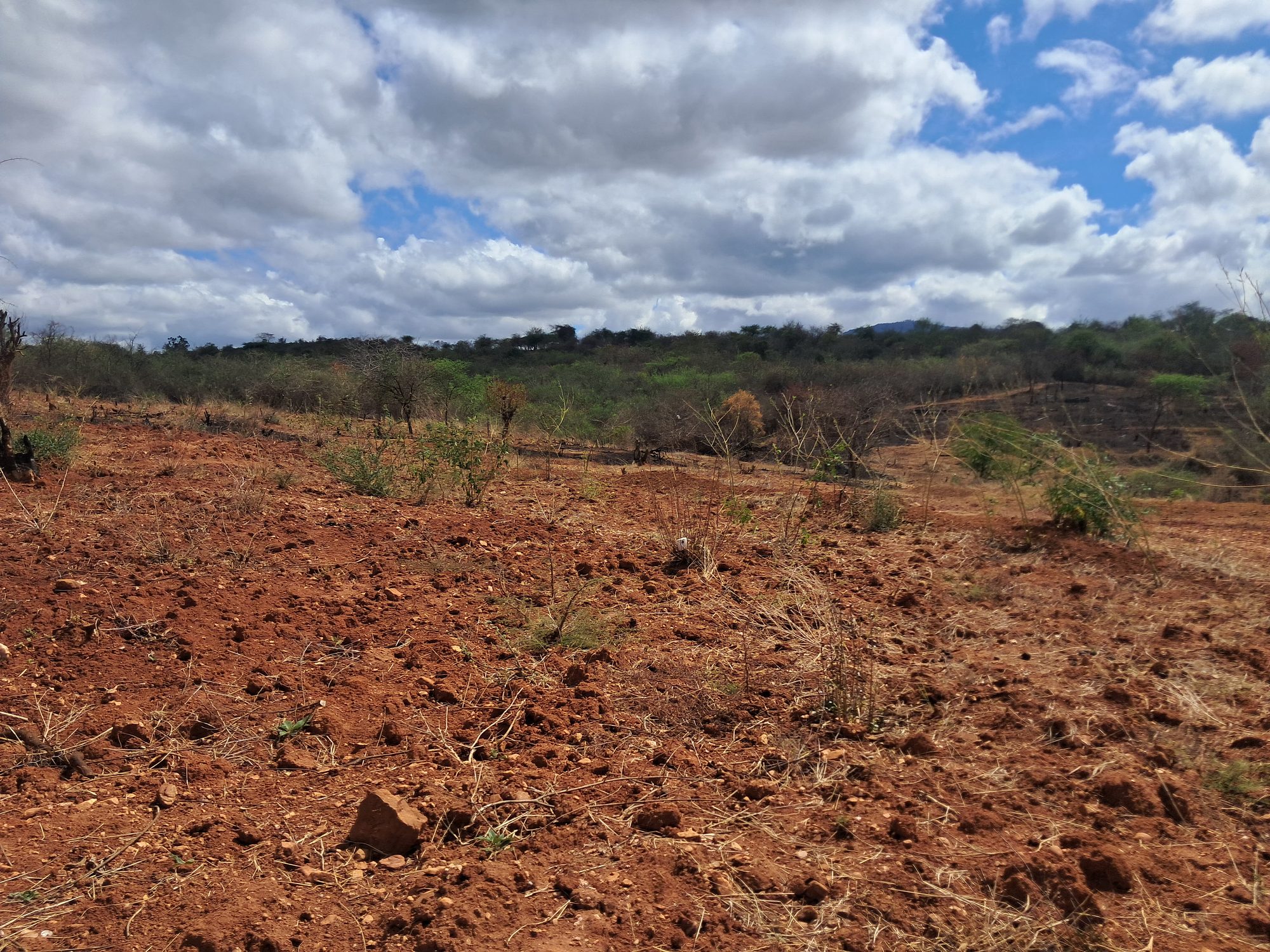 Irrigation Agricultural Land for Sale in Embu Mariari