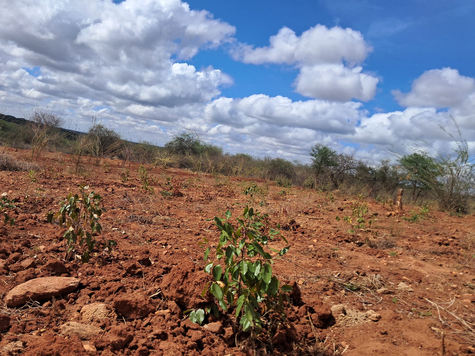 Irrigation Agricultural Land for Sale in Embu Mariari