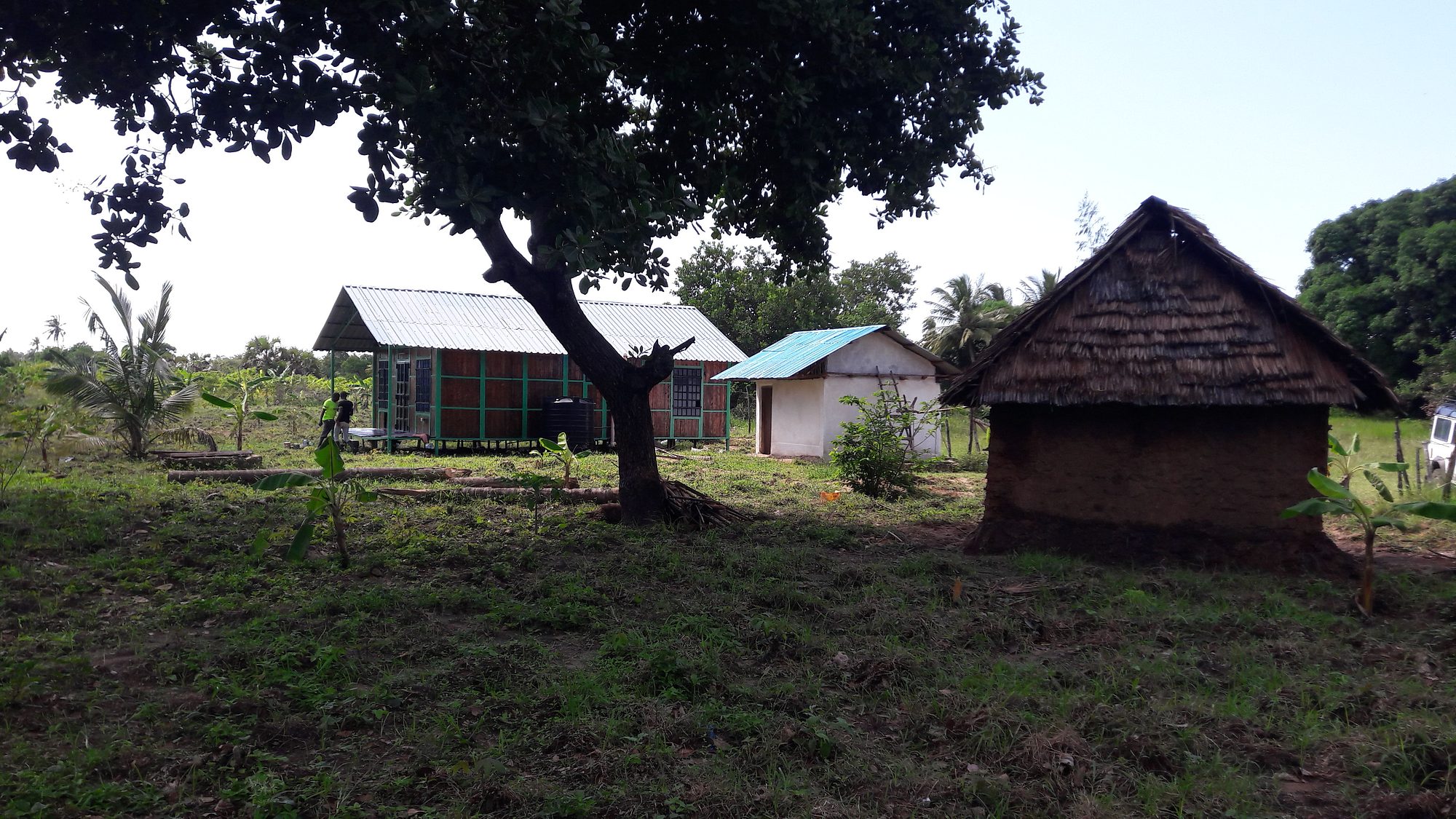 Developed farm for sale