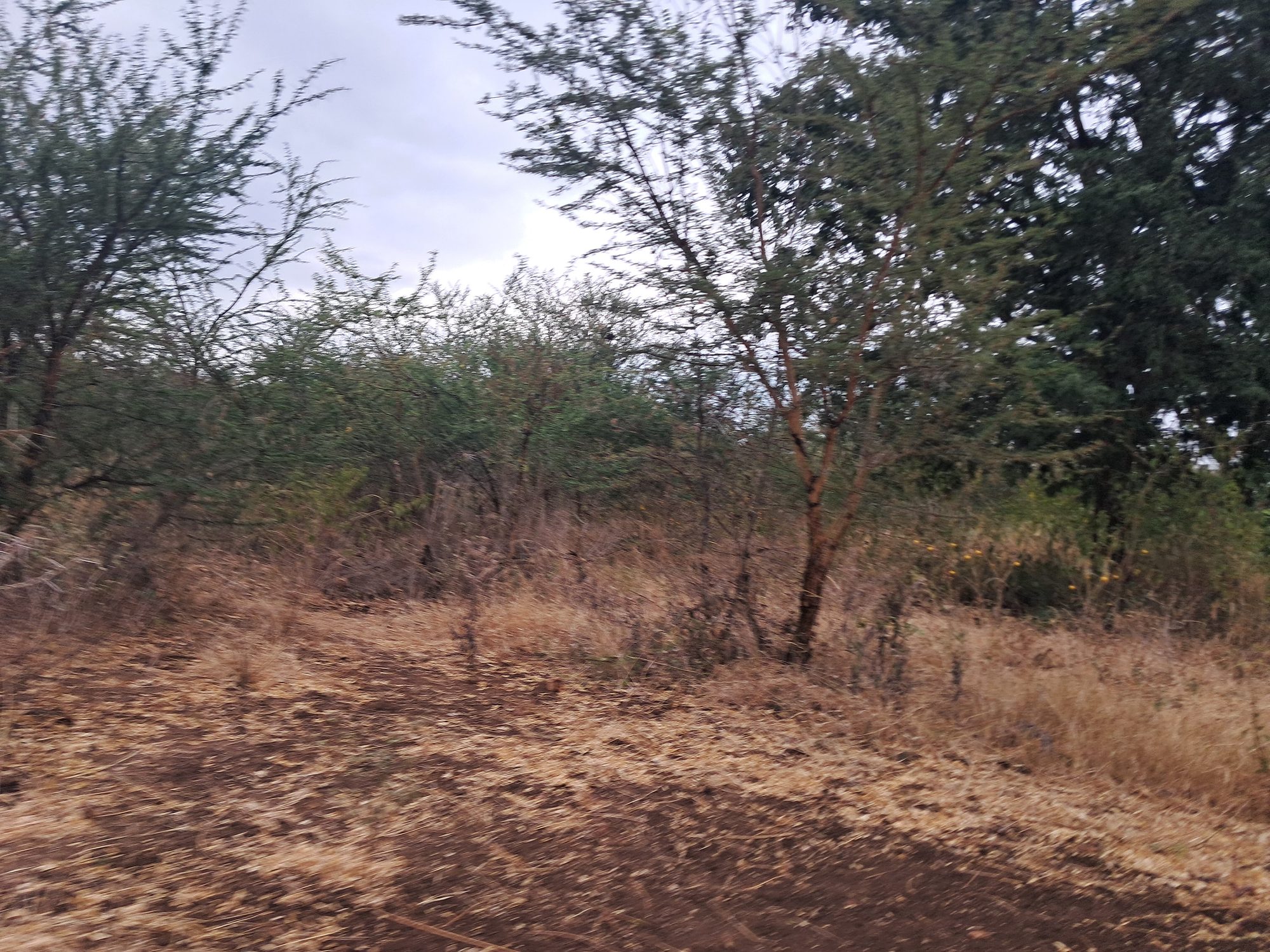 1 Acre Residential/Agricultural Land next to a river