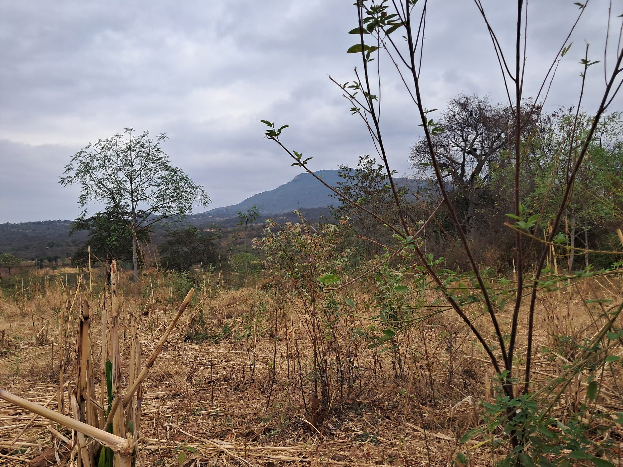 3 Acres at Mariari kiambere Embu county 