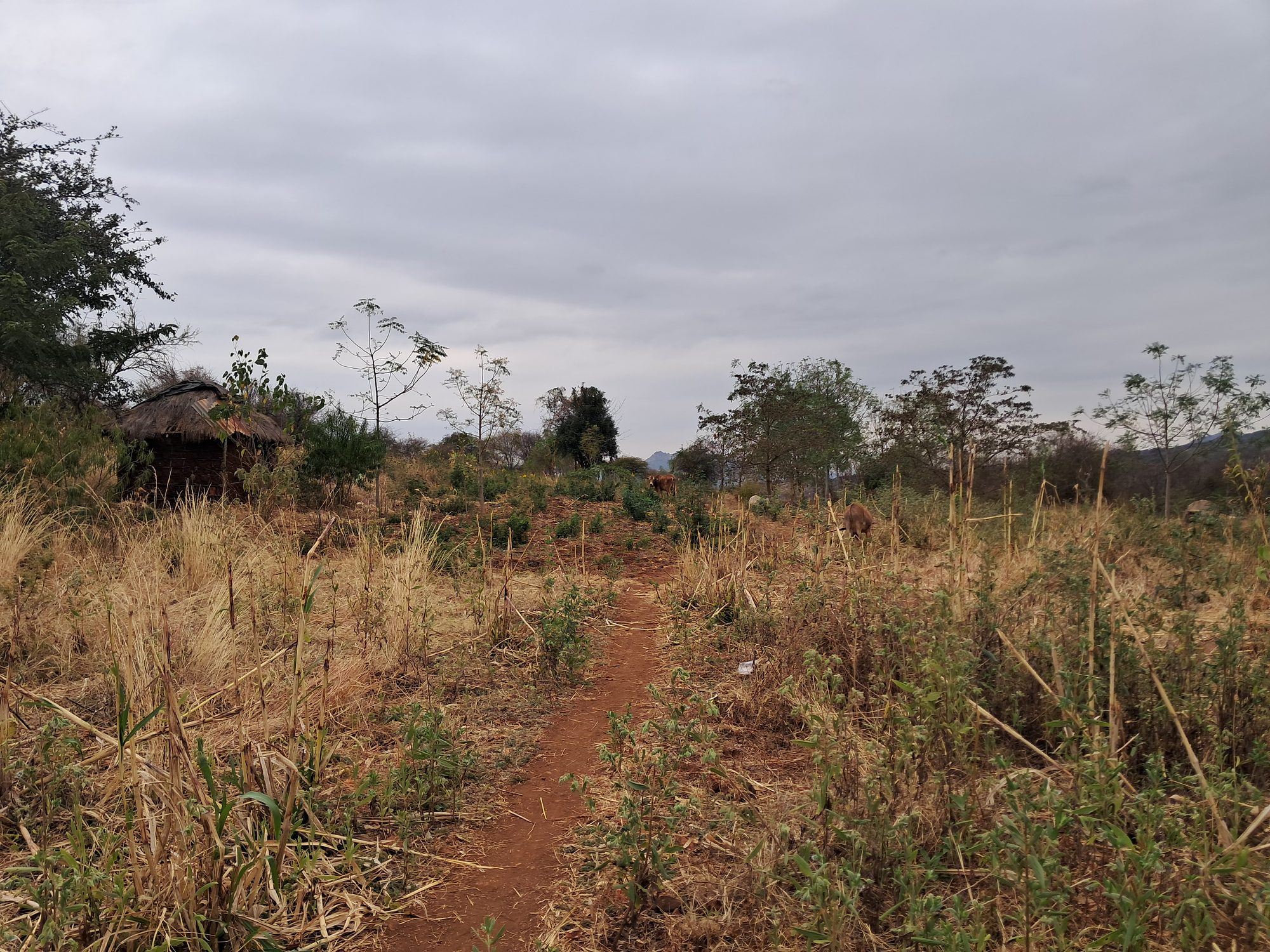 3 Acres at Mariari kiambere Embu county 