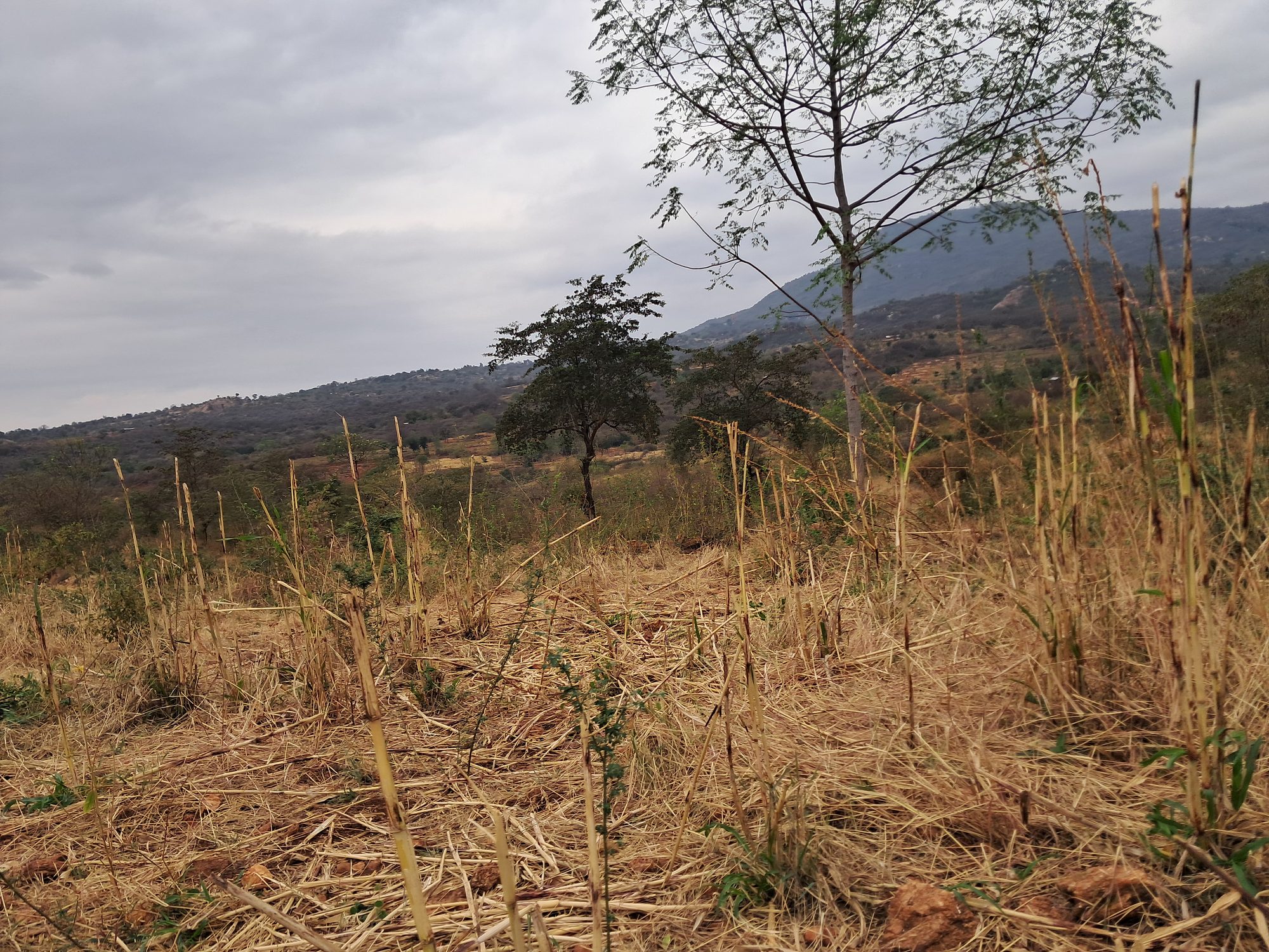 3 Acres at Mariari kiambere Embu county 