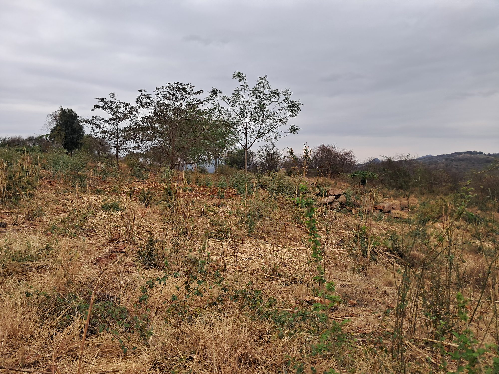 3 Acres at Mariari kiambere Embu county 