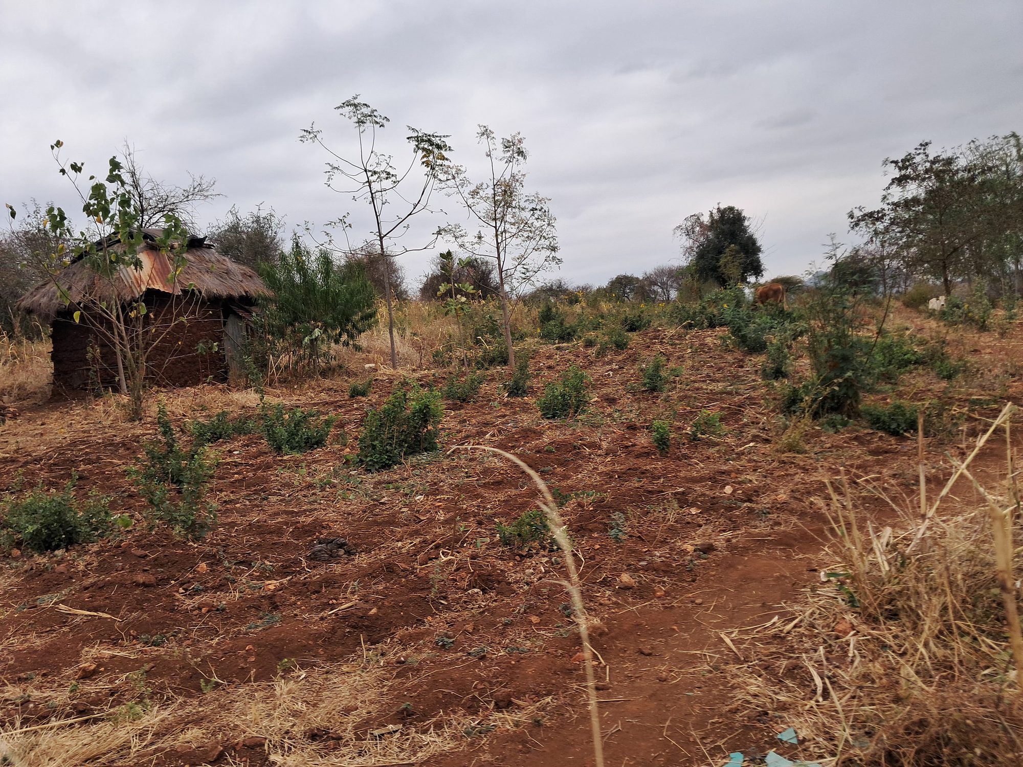 3 Acres at Mariari kiambere Embu county 