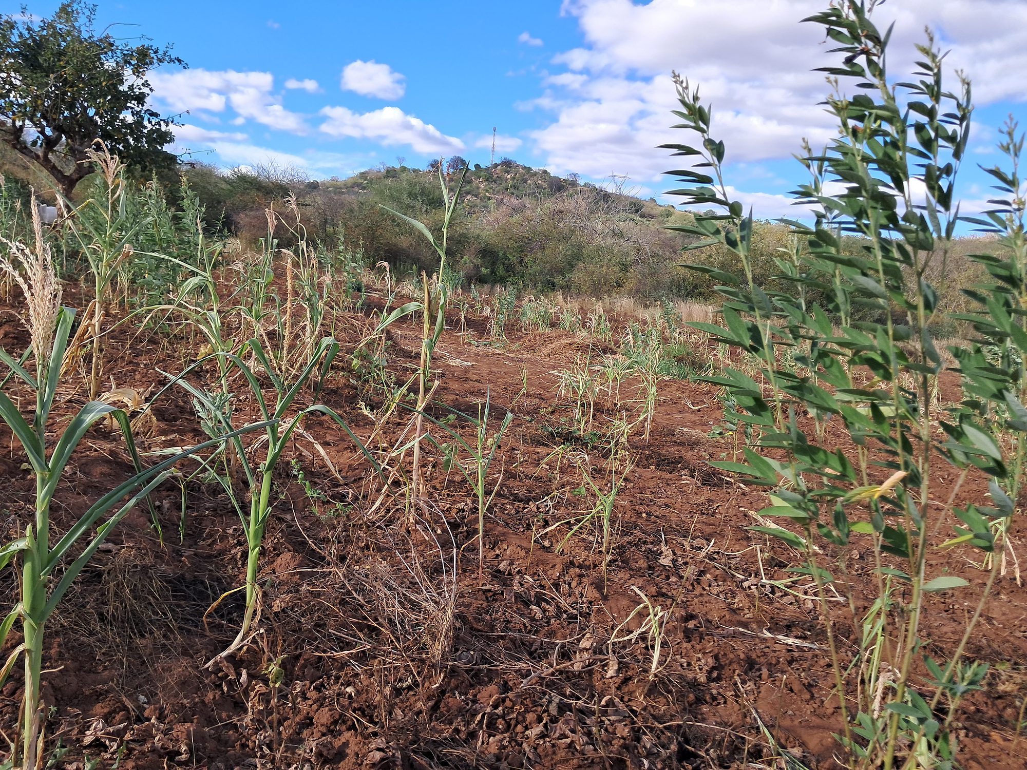 2 Acres Farmland at Mutuobare kiambere 