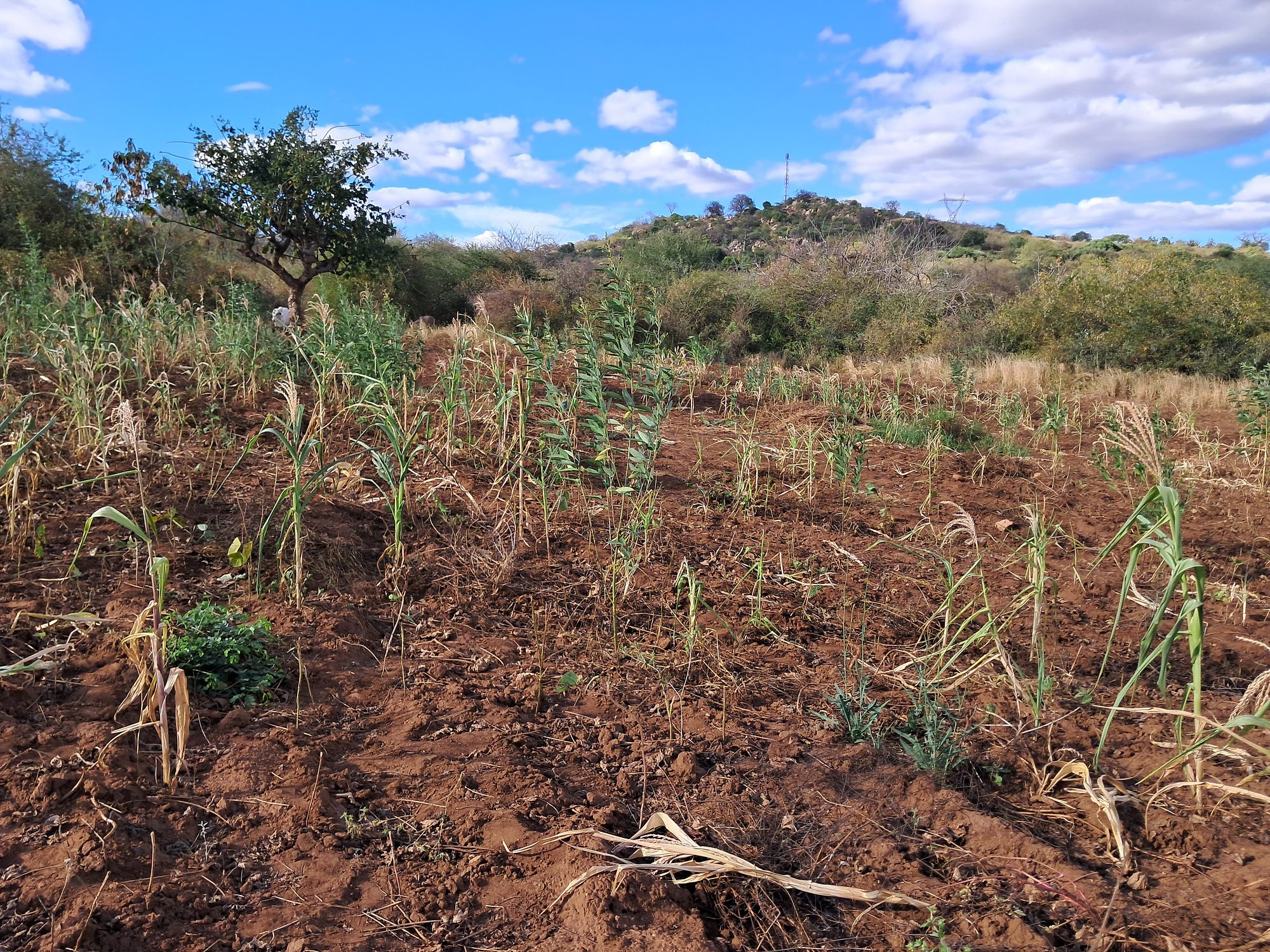 2 Acres Farmland at Mutuobare kiambere 