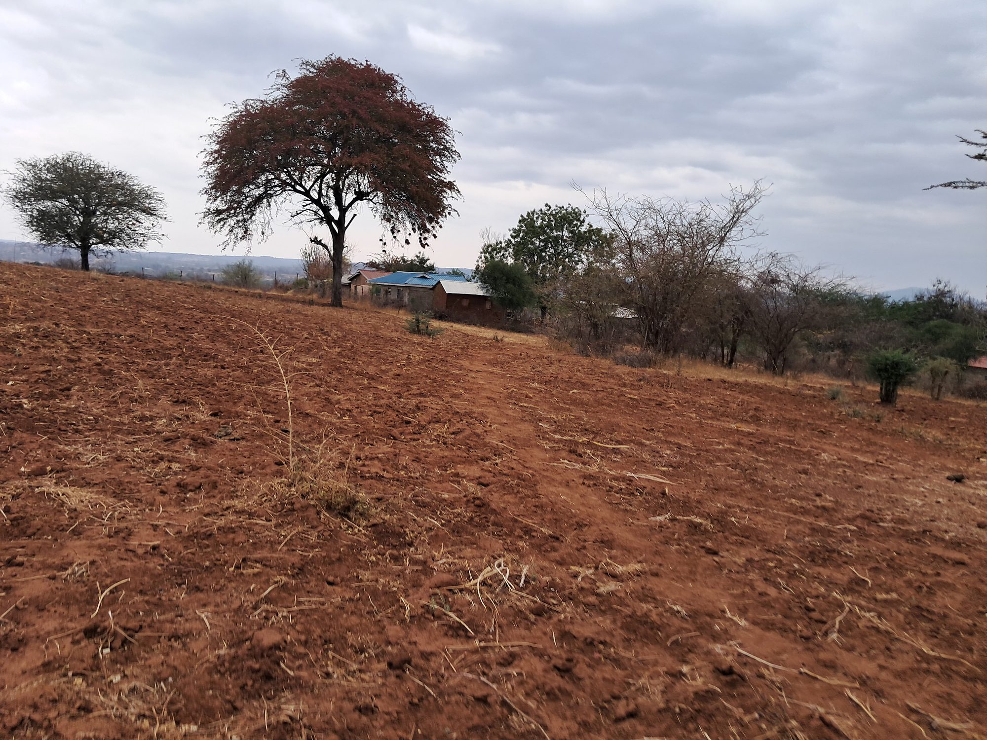 2 Acres Mbeere south Riachina Farmland