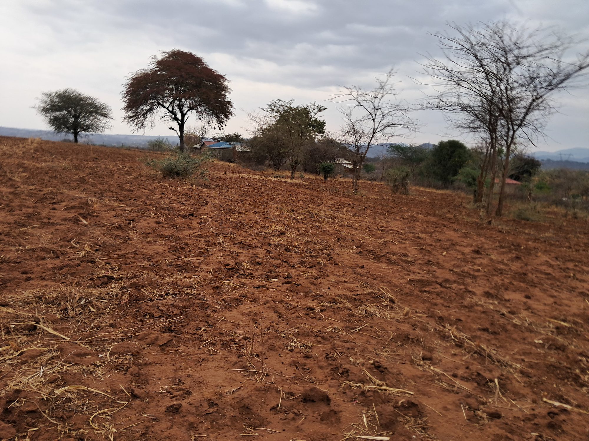 2 Acres Mbeere south Riachina Farmland