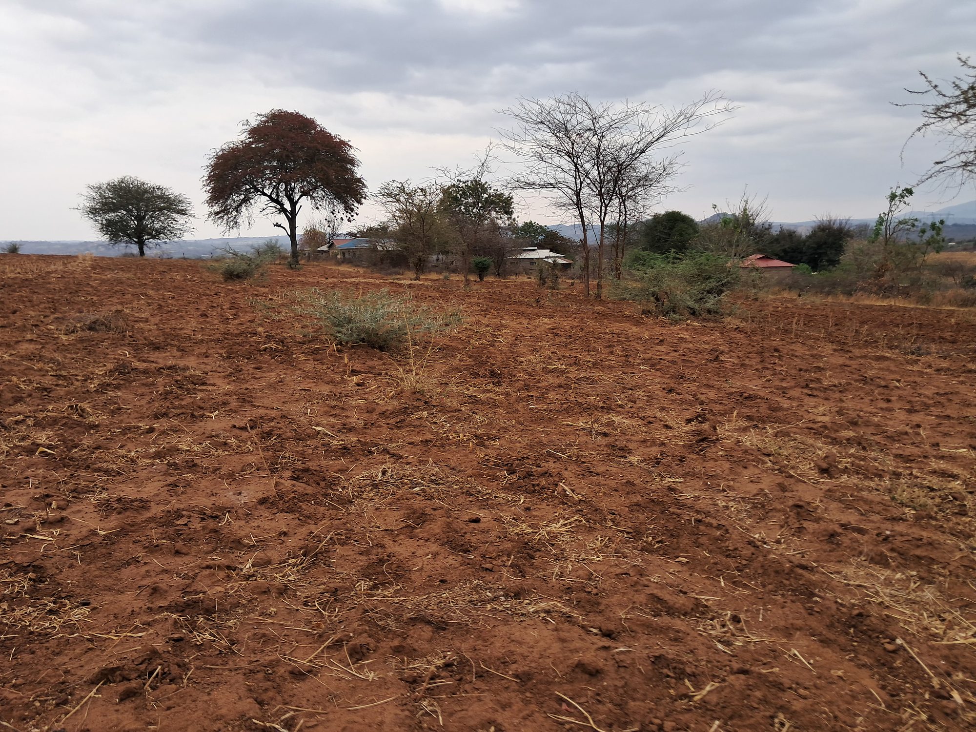 2 Acres Mbeere south Riachina Farmland