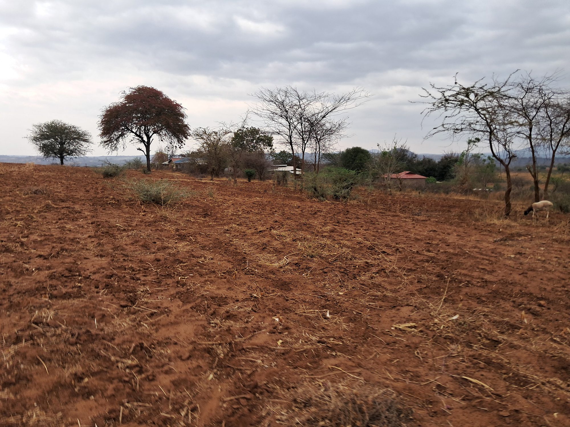 2 Acres Mbeere south Riachina Farmland
