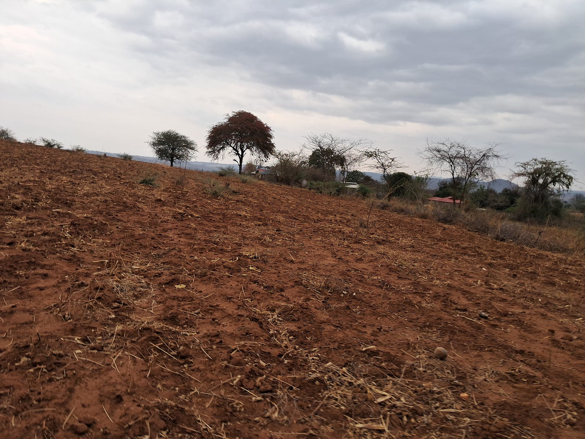 2 Acres Mbeere south Riachina Farmland
