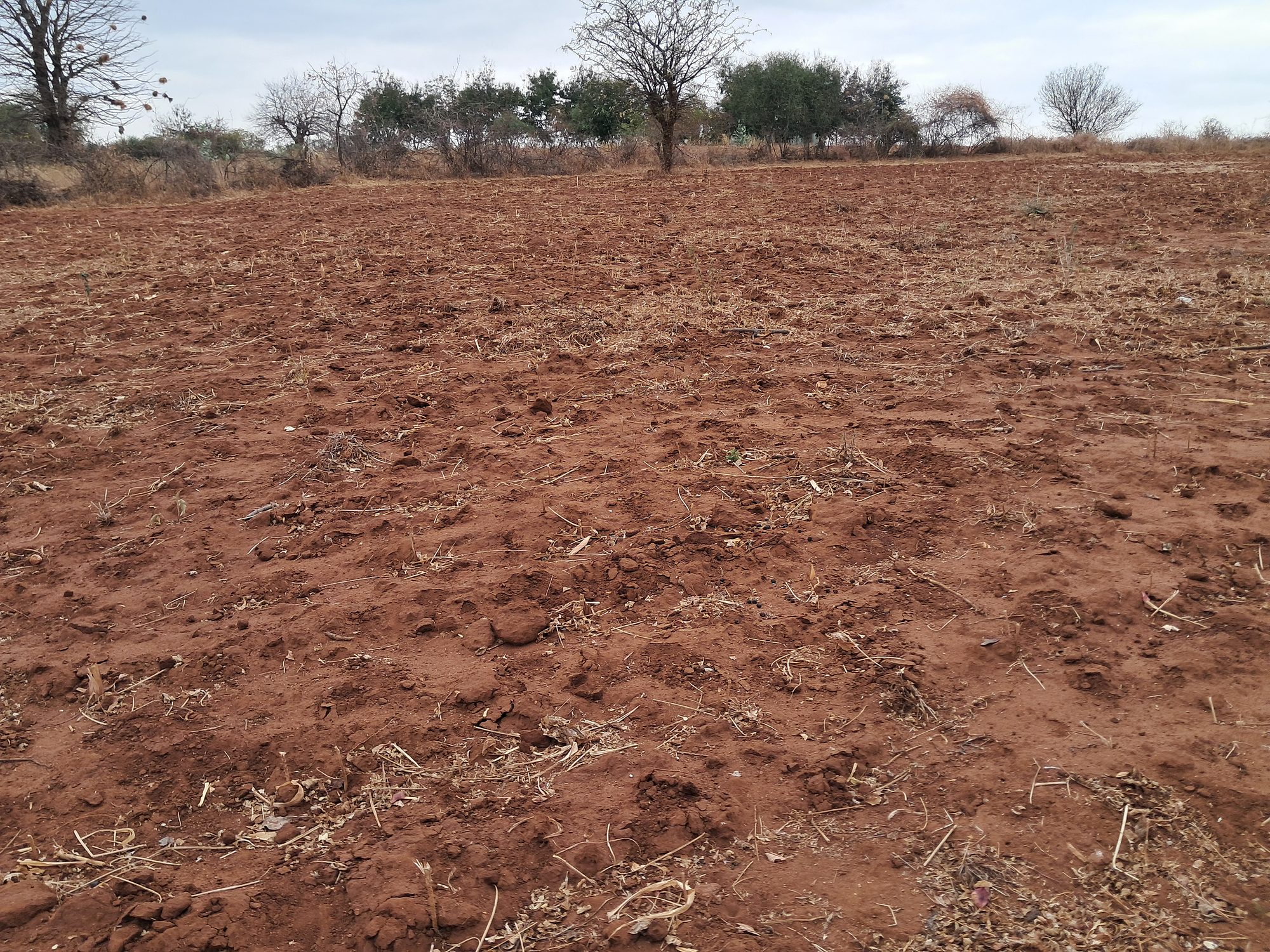 2 Acres Mbeere south Riachina Farmland