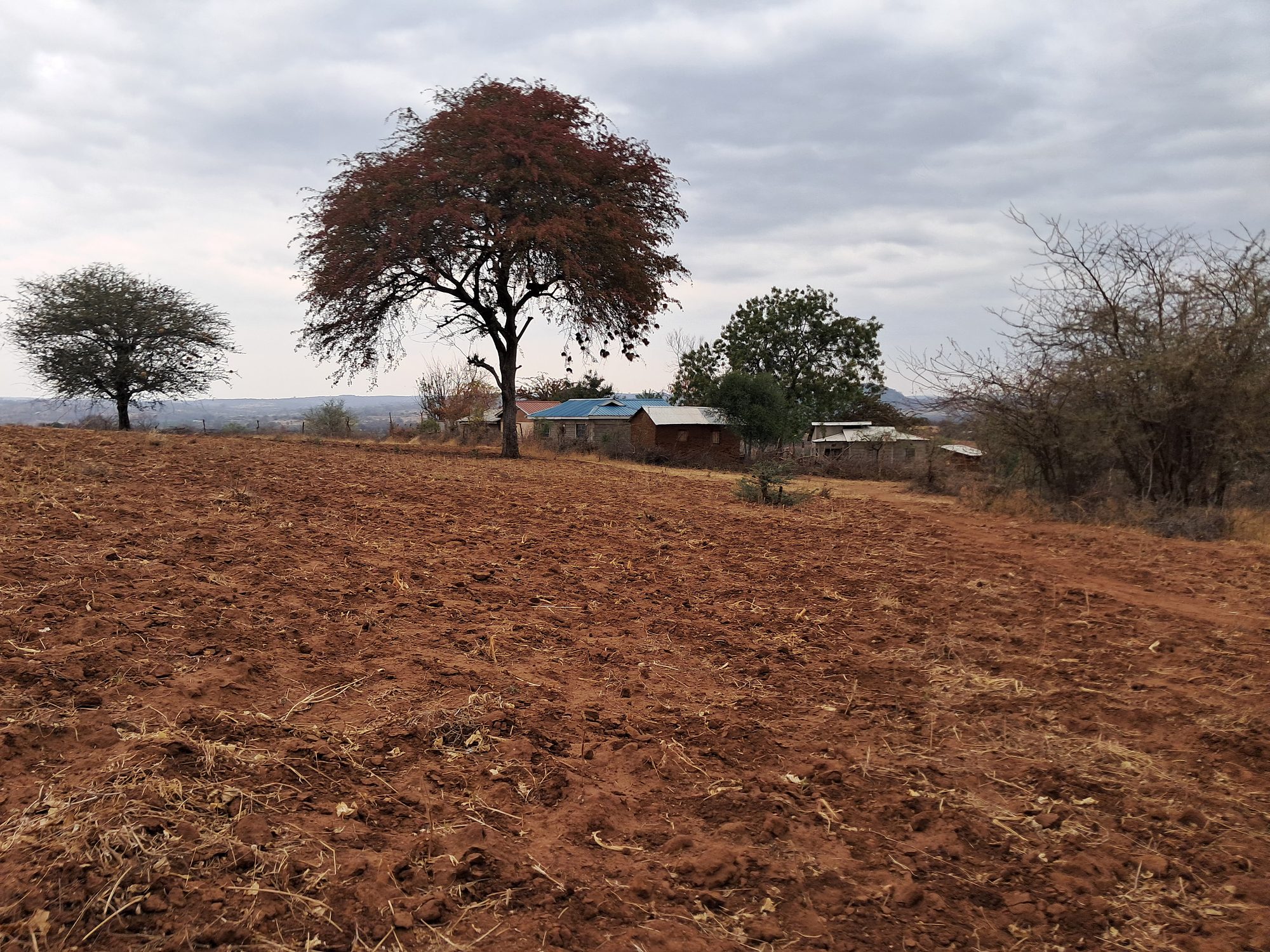 2 Acres Mbeere south Riachina Farmland
