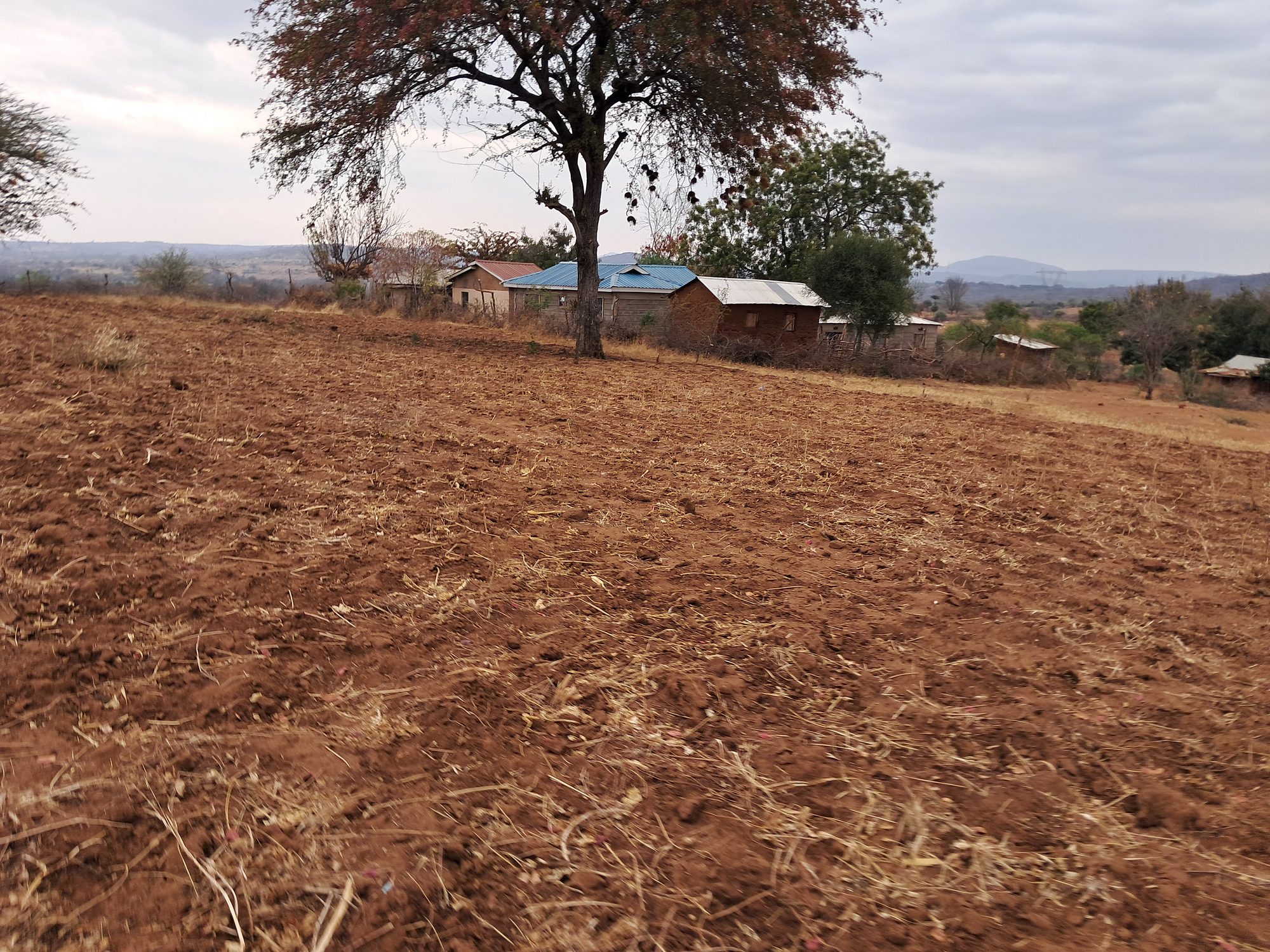 2 Acres Mbeere south Riachina Farmland