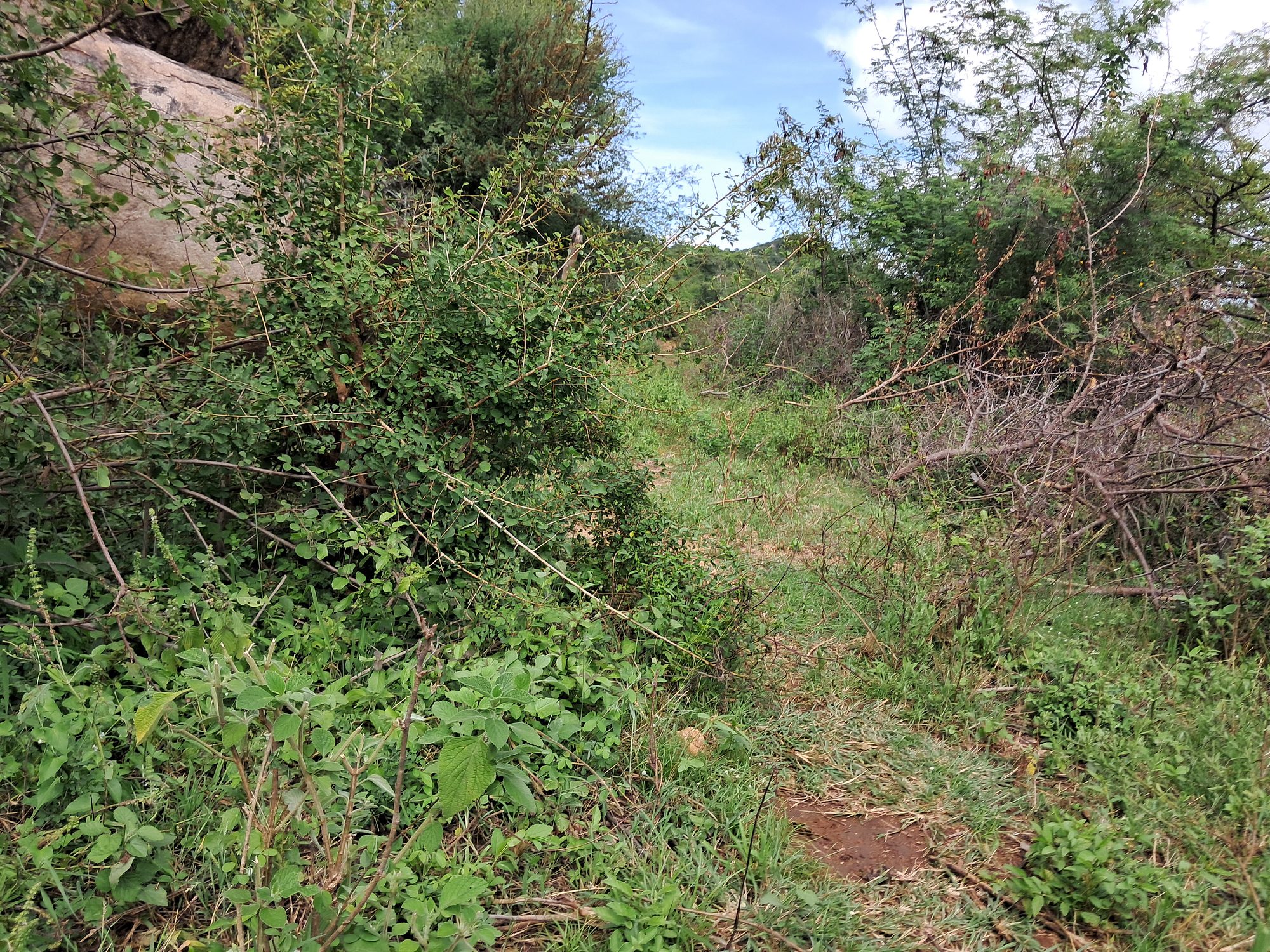 3 Acres Grazing land next to kiambere hill