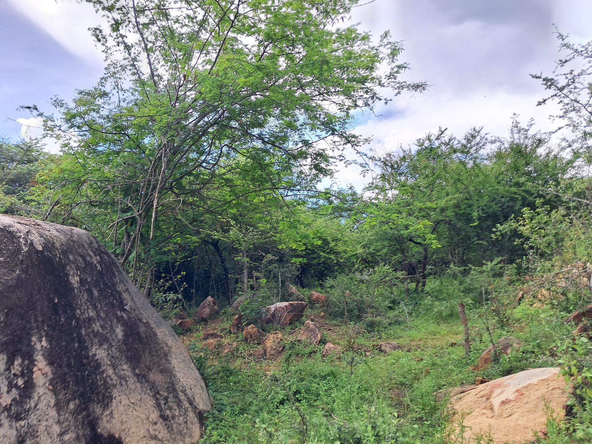 3 Acres Grazing land next to kiambere hill