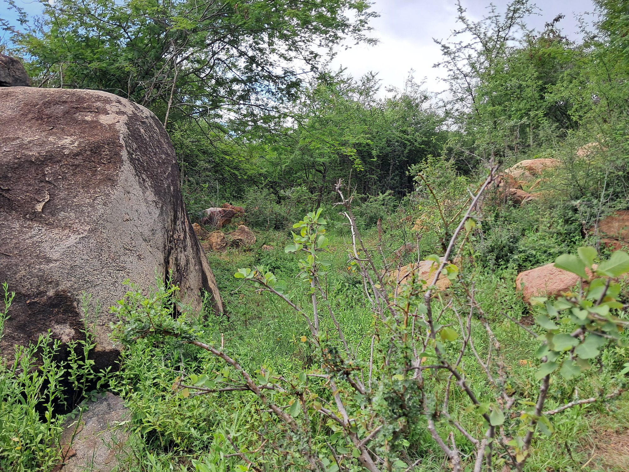 3 Acres Grazing land next to kiambere hill