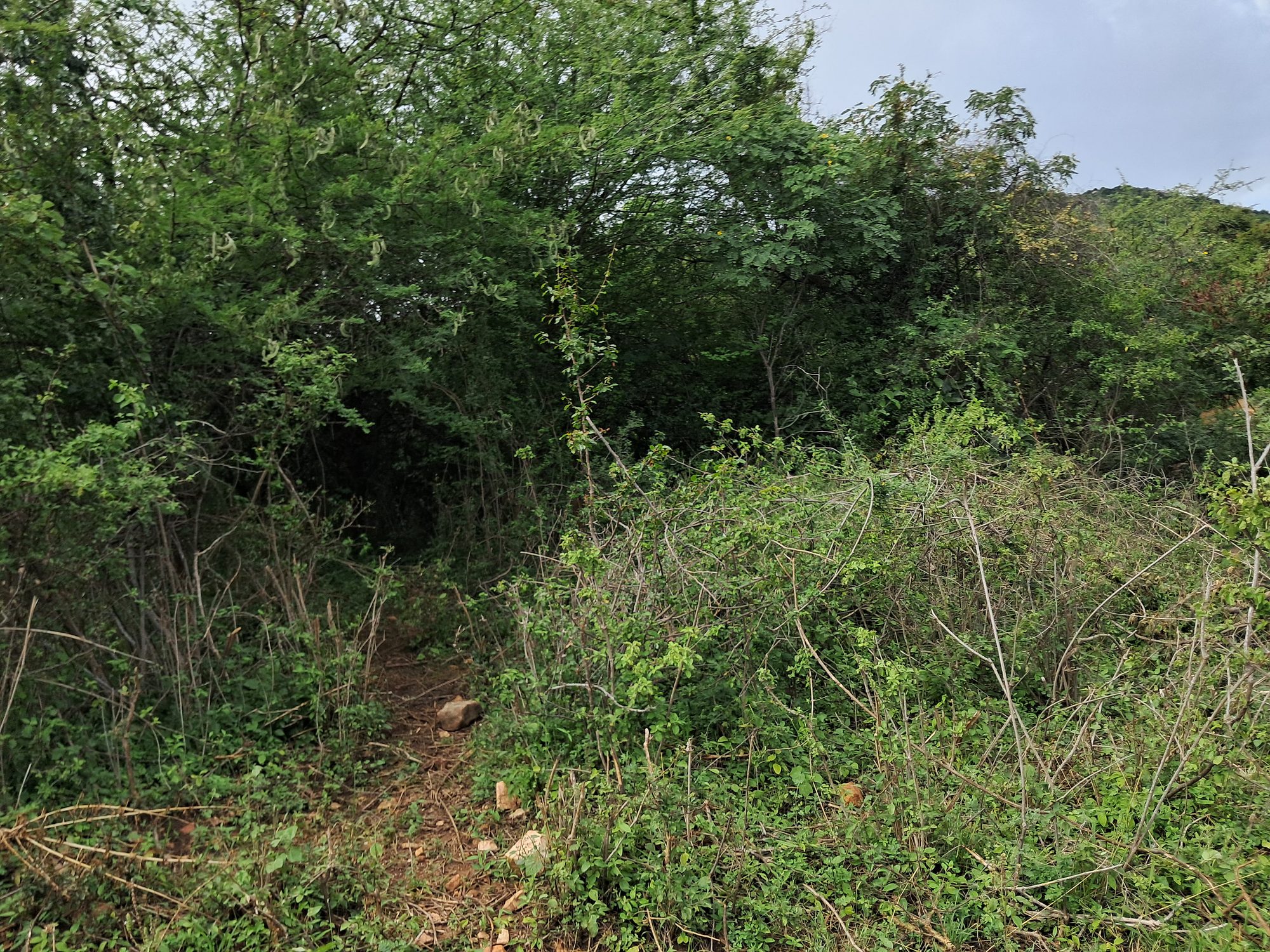 3 Acres Grazing land next to kiambere hill