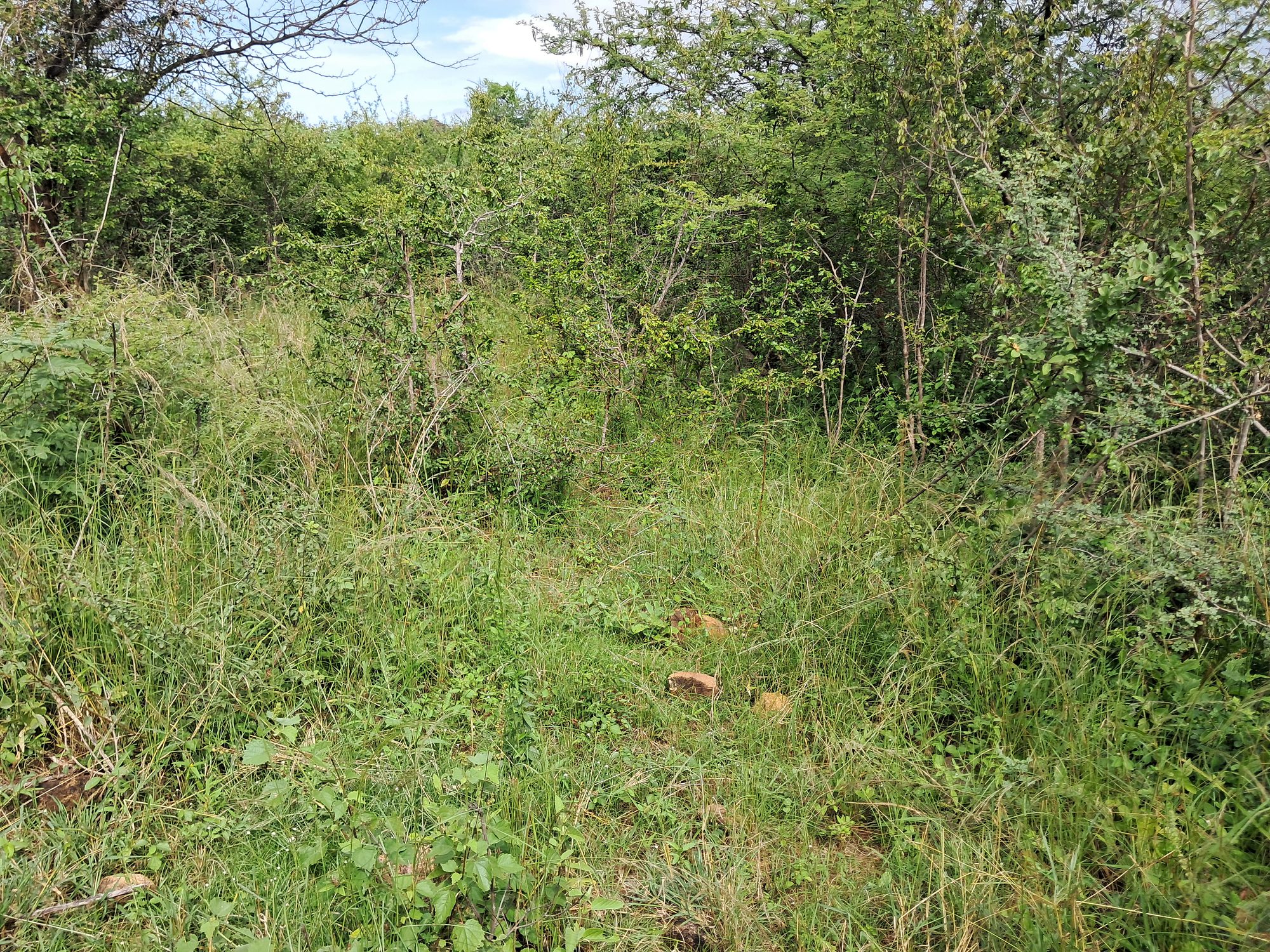 3 Acres Grazing land next to kiambere hill