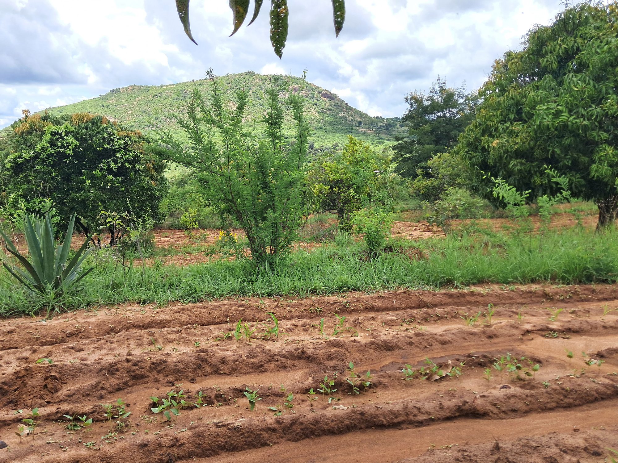 1 Acres Masinga Ulutya near the tarmac