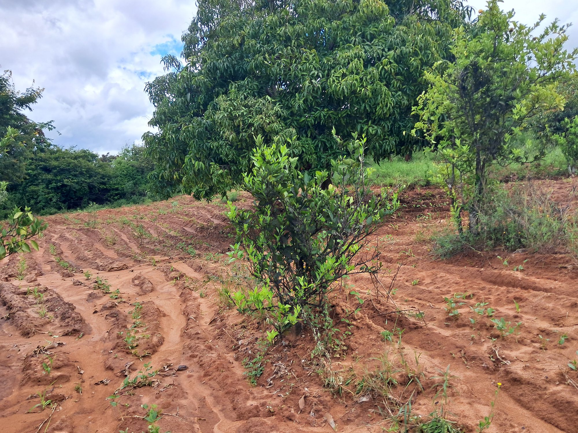 1 Acres Masinga Ulutya near the tarmac