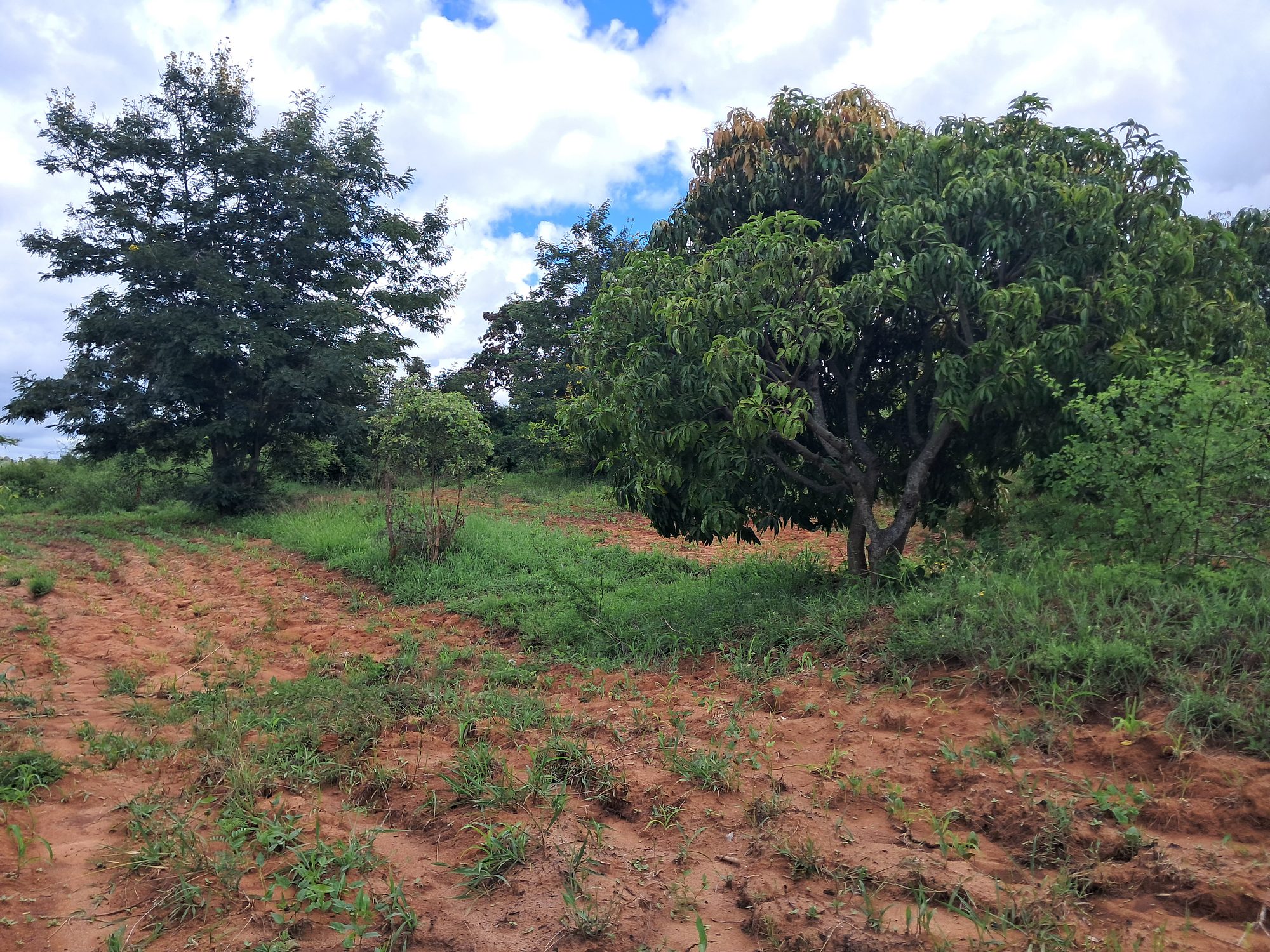 1 Acres Masinga Ulutya near the tarmac