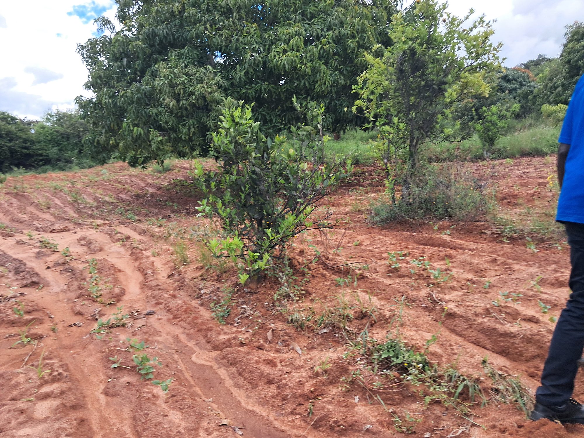 1 Acres Masinga Ulutya near the tarmac
