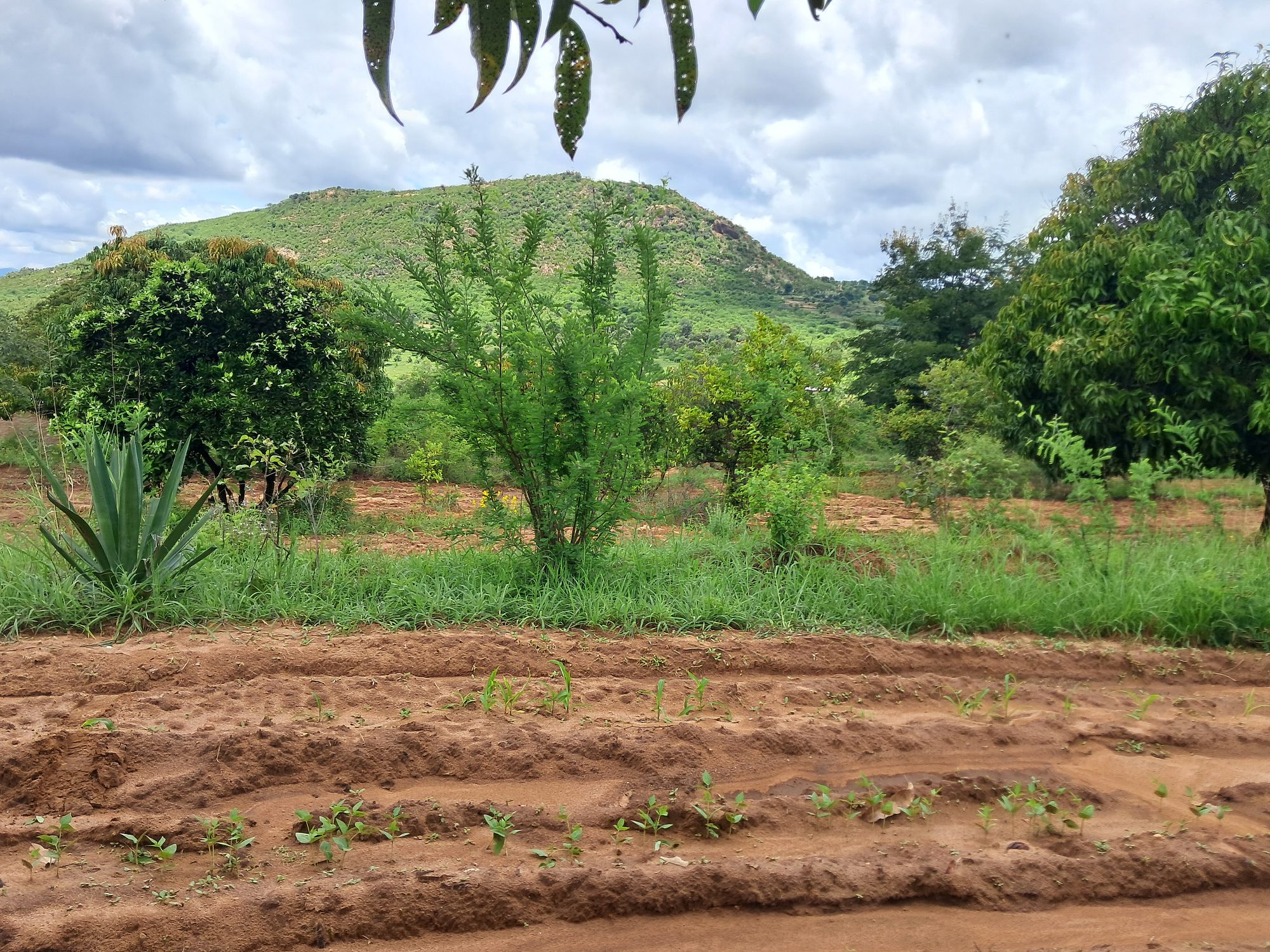 1 Acres Masinga Ulutya near the tarmac