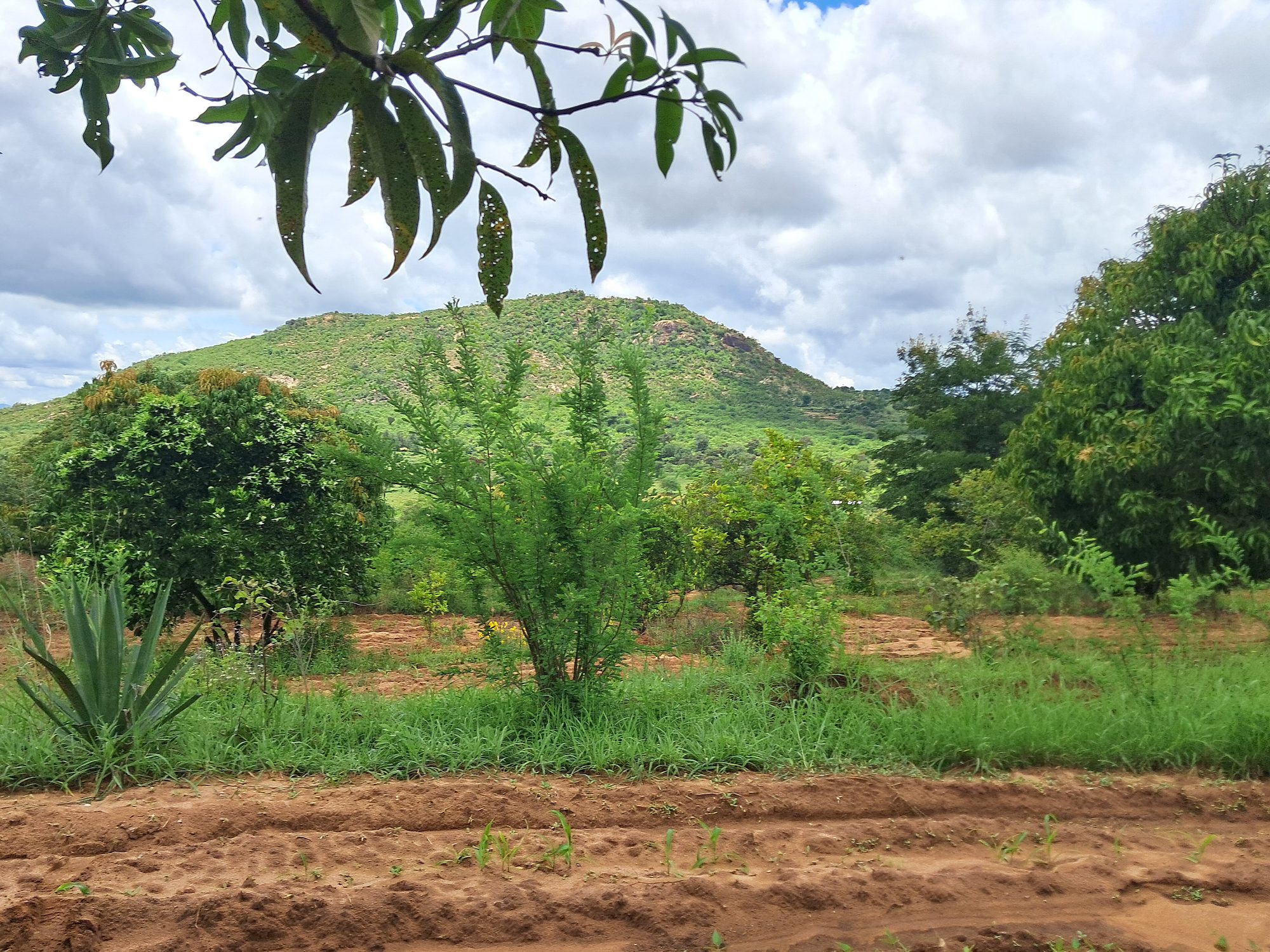 1 Acres Masinga Ulutya near the tarmac