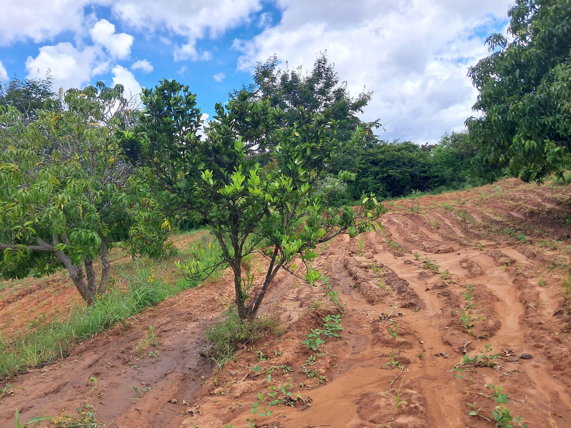 1 Acres Masinga Ulutya near the tarmac