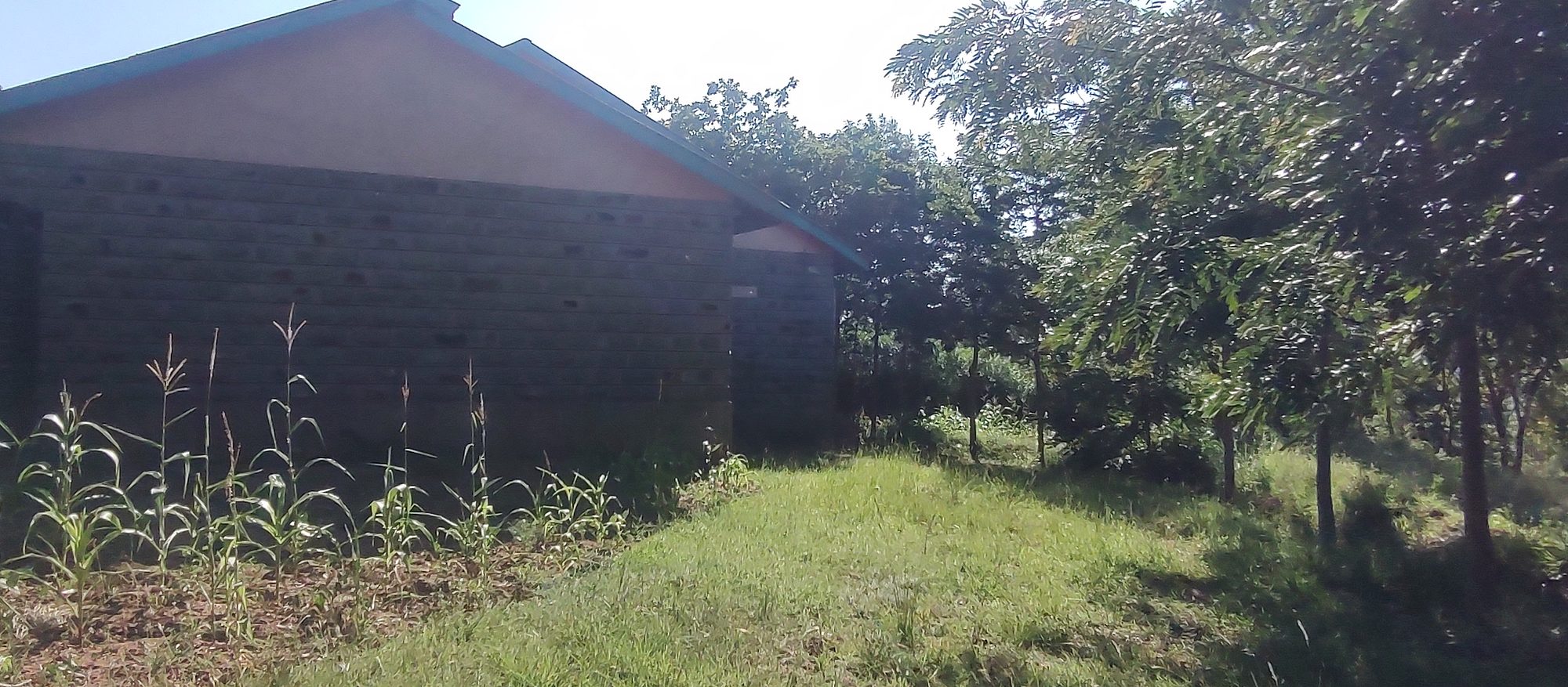 Embu  Kiritiri town 1.14 Acres with 3 bedrooms  bungalow and stores 