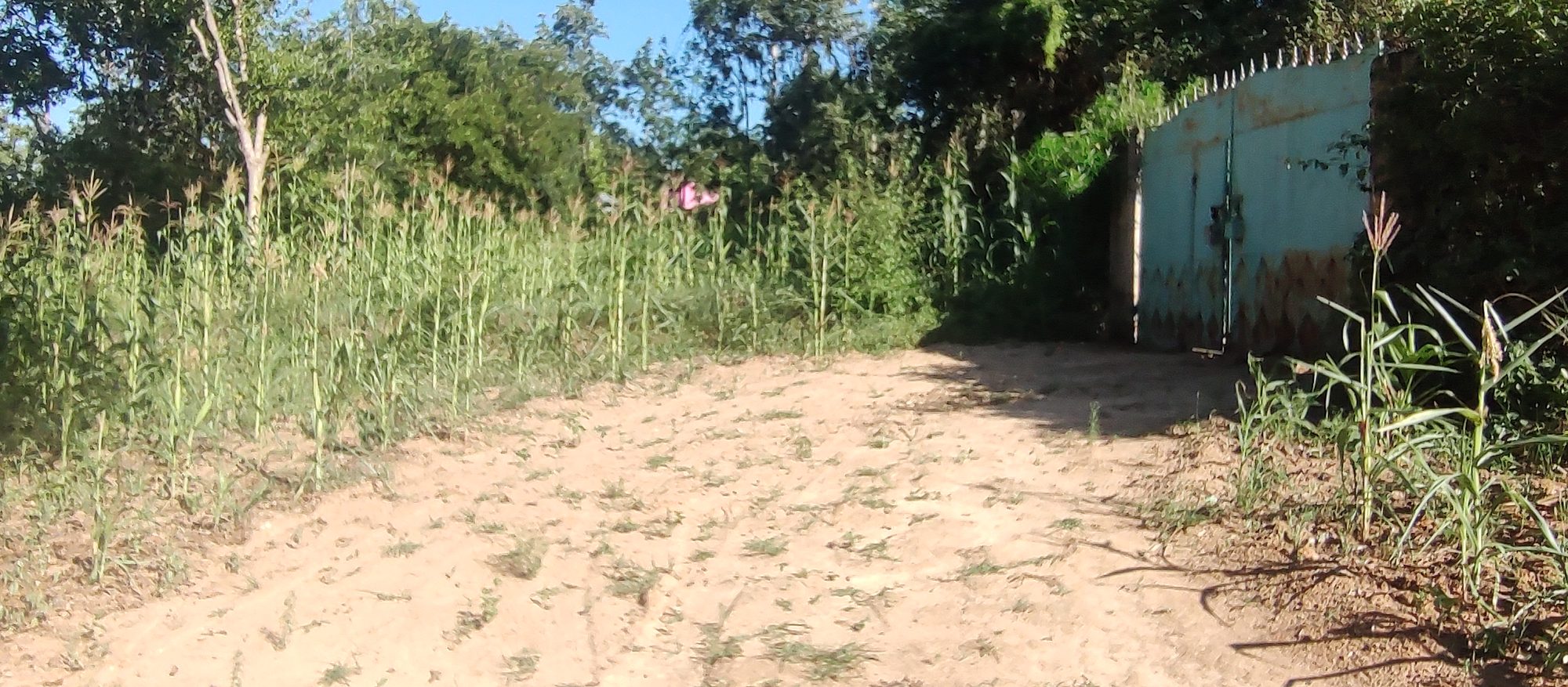 Embu  Kiritiri town 1.14 Acres with 3 bedrooms  bungalow and stores 