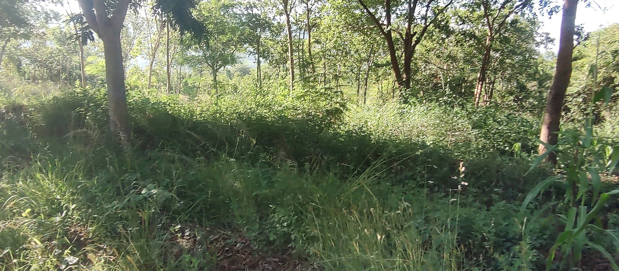 Embu  Kiritiri town 1.14 Acres with 3 bedrooms  bungalow and stores 