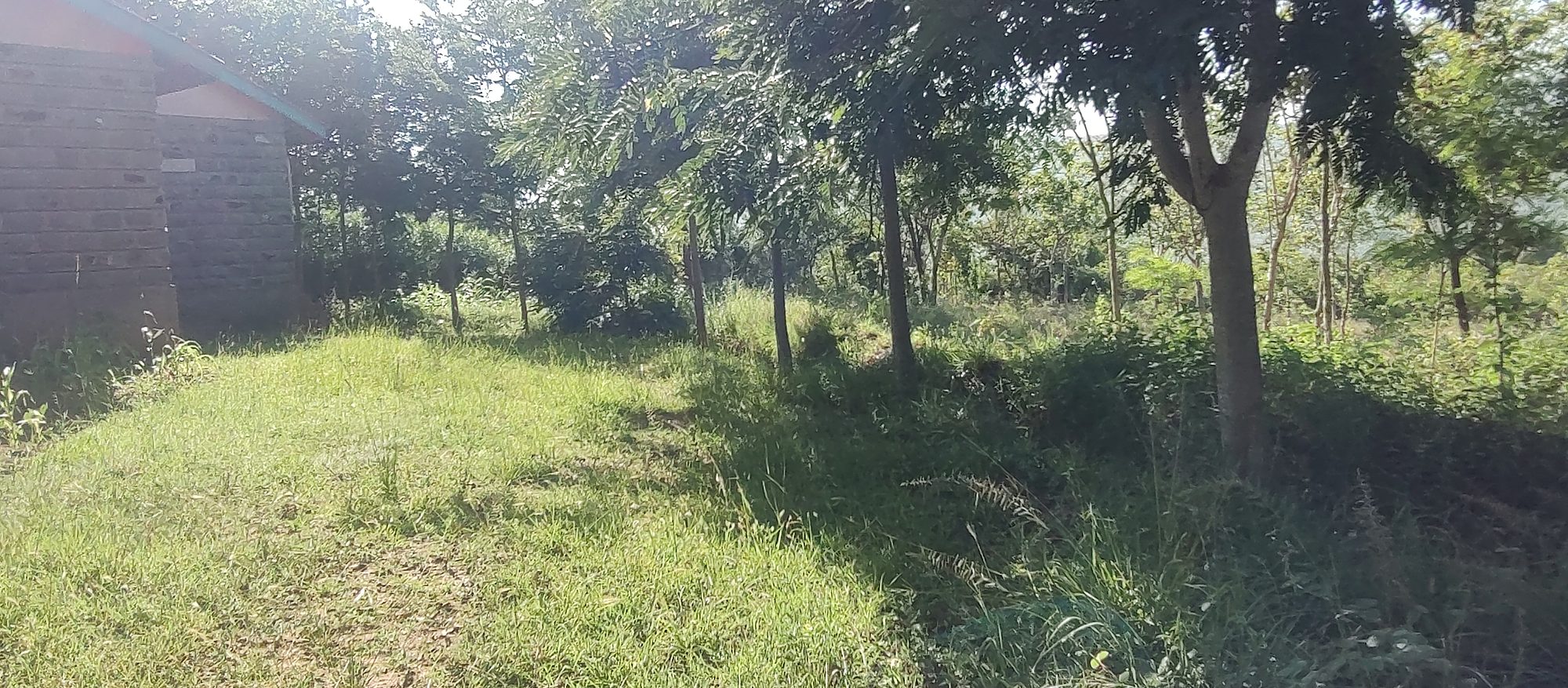 Embu  Kiritiri town 1.14 Acres with 3 bedrooms  bungalow and stores 